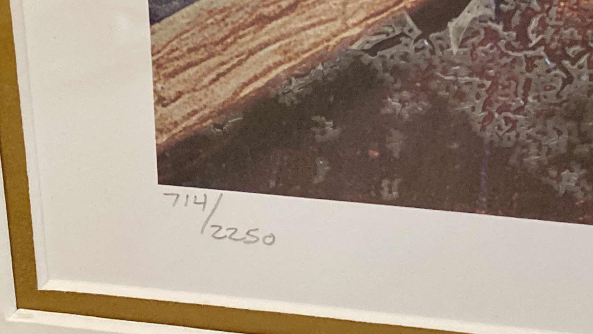 Photo 1 of $395 COA FRAMED “SUNDAY IN ROME” SIGNED 714/2250 BY KEN SHOTWELL ARTWORK 29” x 23”