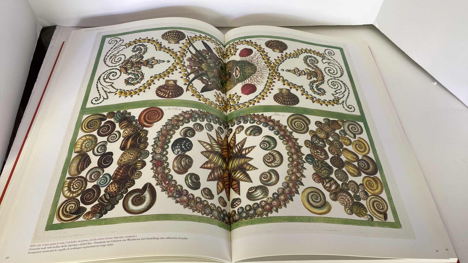 Photo 14 of TASCHEN “CABINET OF NATURAL CURIOSITIES” COFFEE TABLE BOOK 10” x 15”