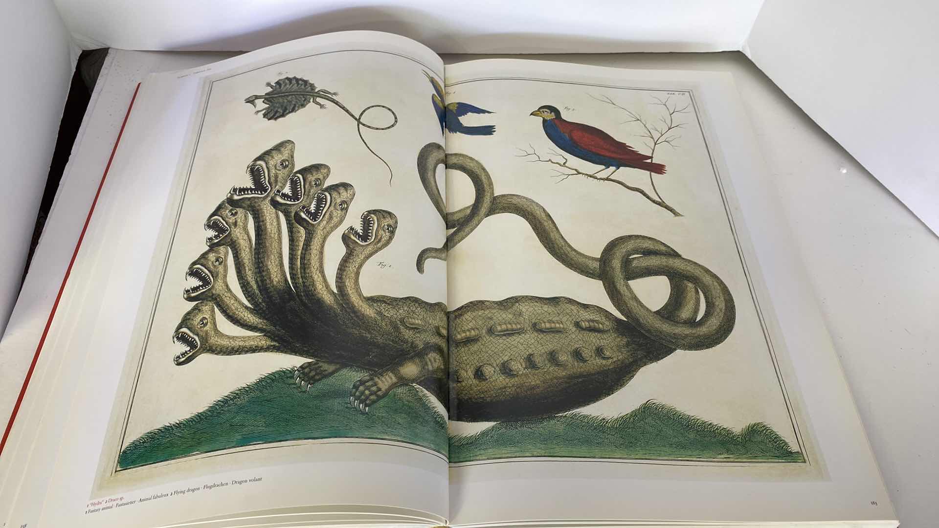 Photo 8 of TASCHEN “CABINET OF NATURAL CURIOSITIES” COFFEE TABLE BOOK 10” x 15”