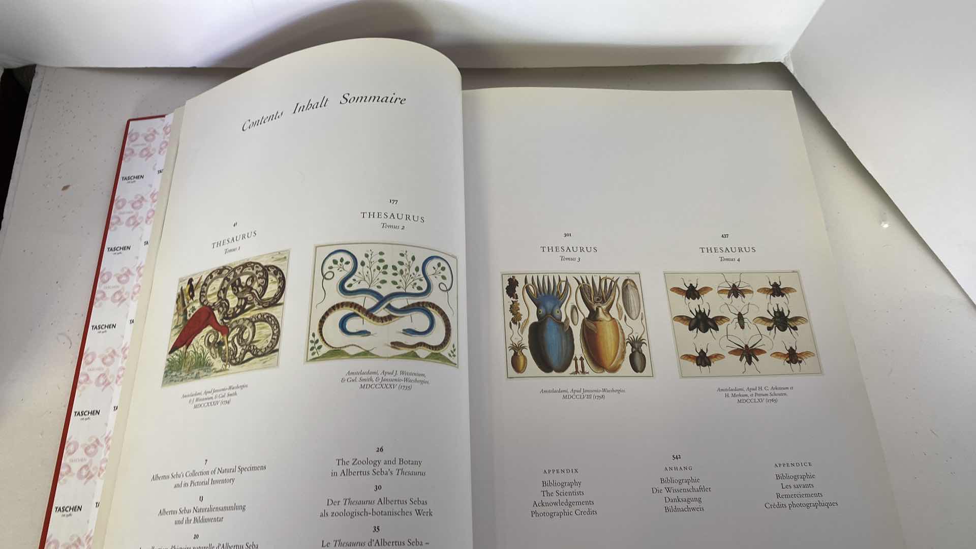 Photo 4 of TASCHEN “CABINET OF NATURAL CURIOSITIES” COFFEE TABLE BOOK 10” x 15”