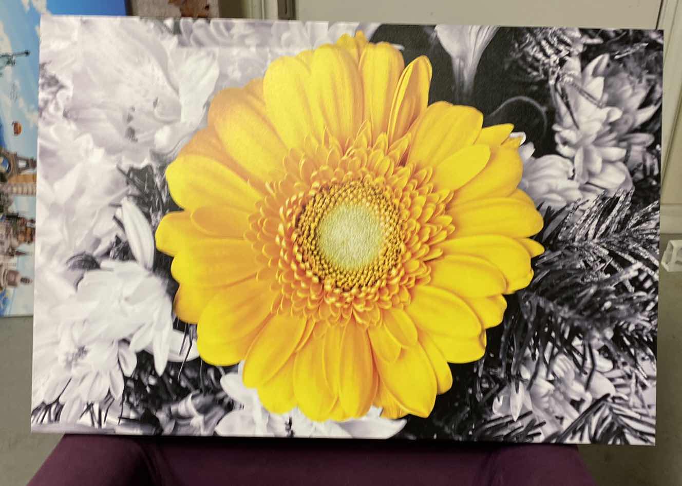 Photo 1 of STRETCHED CANVAS FLORAL ARTWORK 30” x 20”