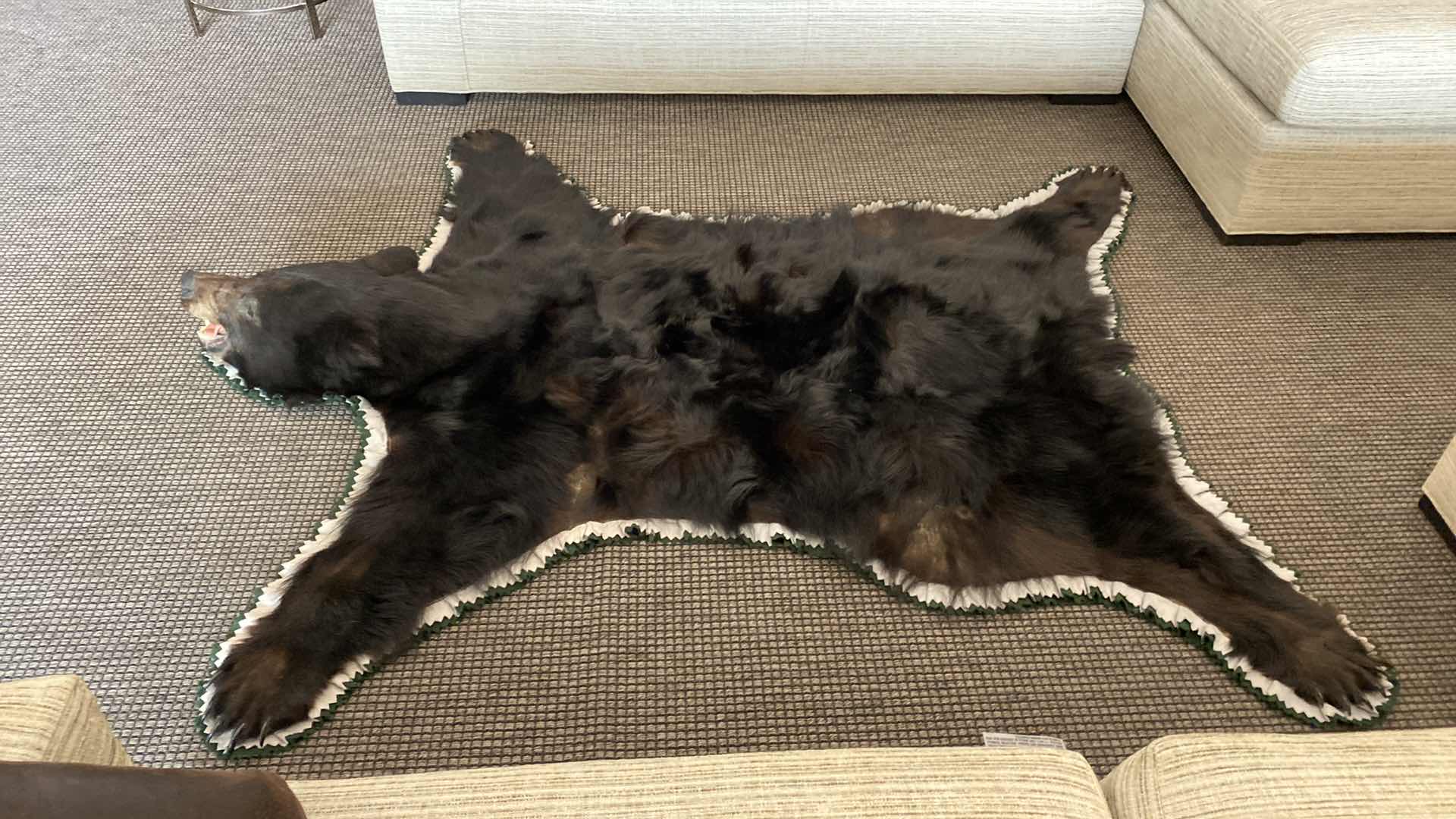 Photo 1 of LARGE BLACK BEAR RUG FROM VANCOUVER ISLAND, BRITISH COLUMBIA 76 1/2” x 65”