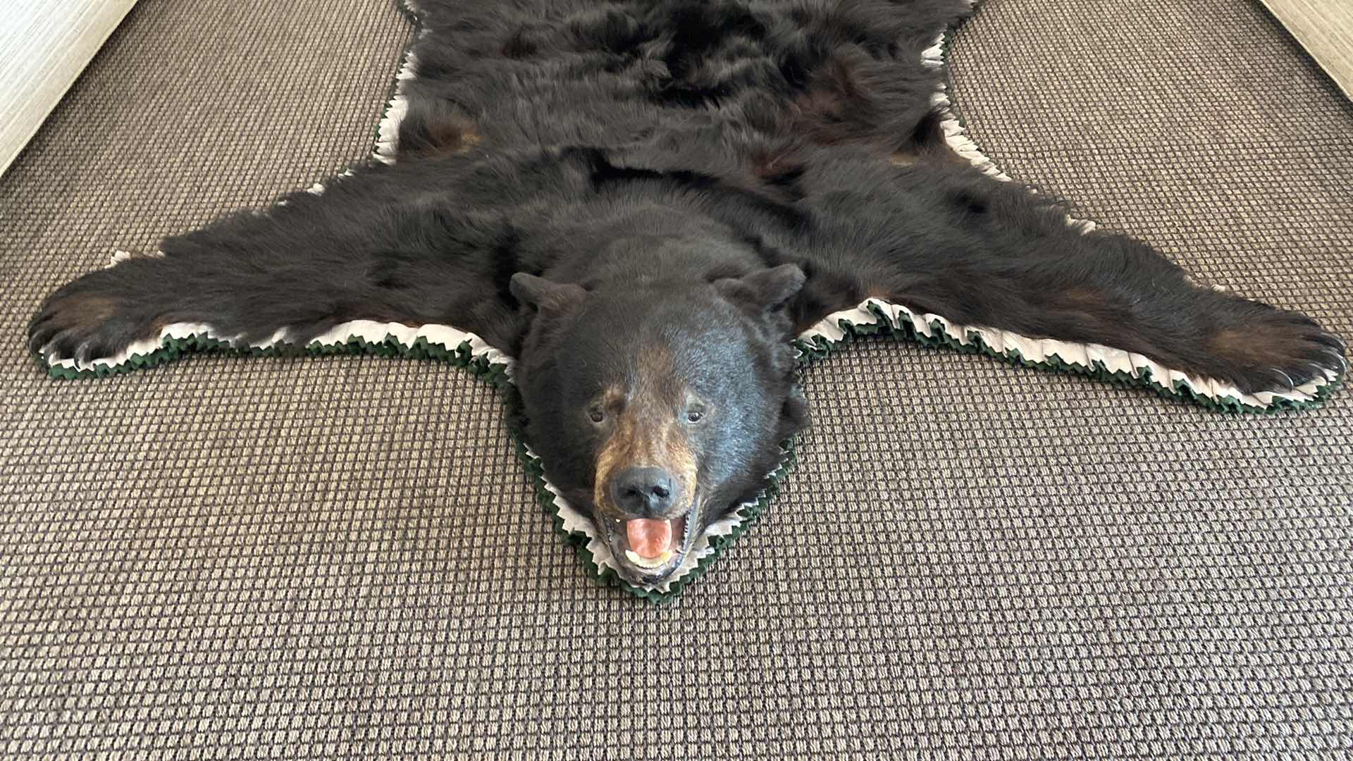 Photo 1 of LARGE BLACK BEAR RUG FROM VANCOUVER ISLAND, BRITISH COLUMBIA 76 1/2” x 65”