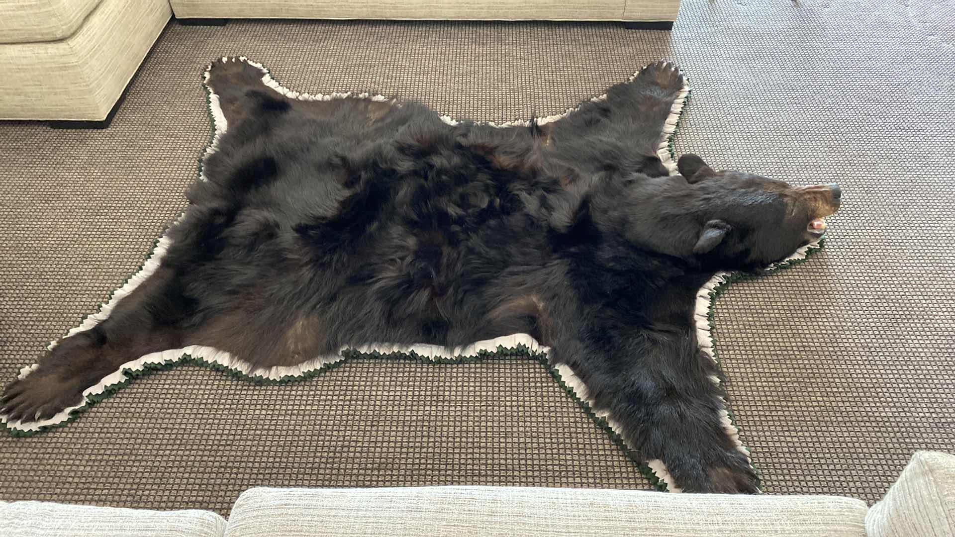 Photo 1 of LARGE BLACK BEAR RUG FROM VANCOUVER ISLAND, BRITISH COLUMBIA 76 1/2” x 65”