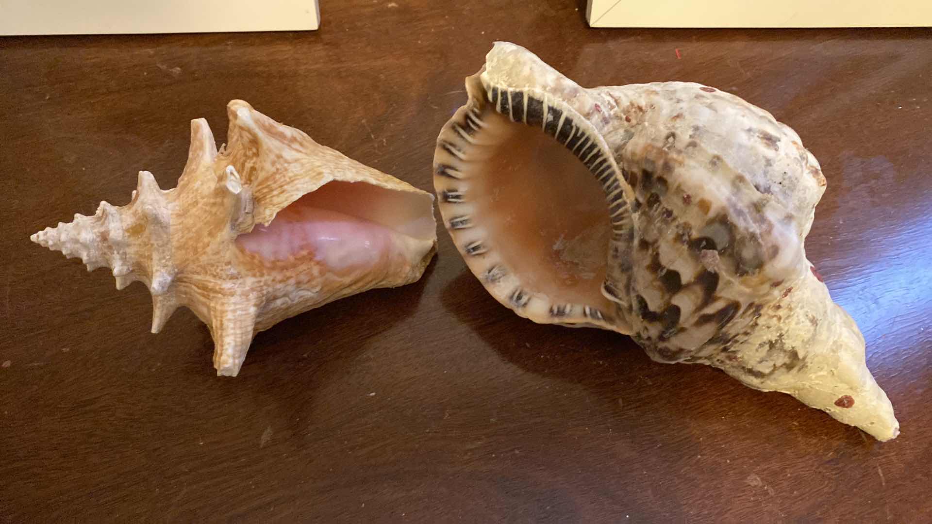 Photo 1 of PAIR OF SHADOW BOXES 9” x 9” FLORAL ARTWORK 10“ x 10“ AND MORE