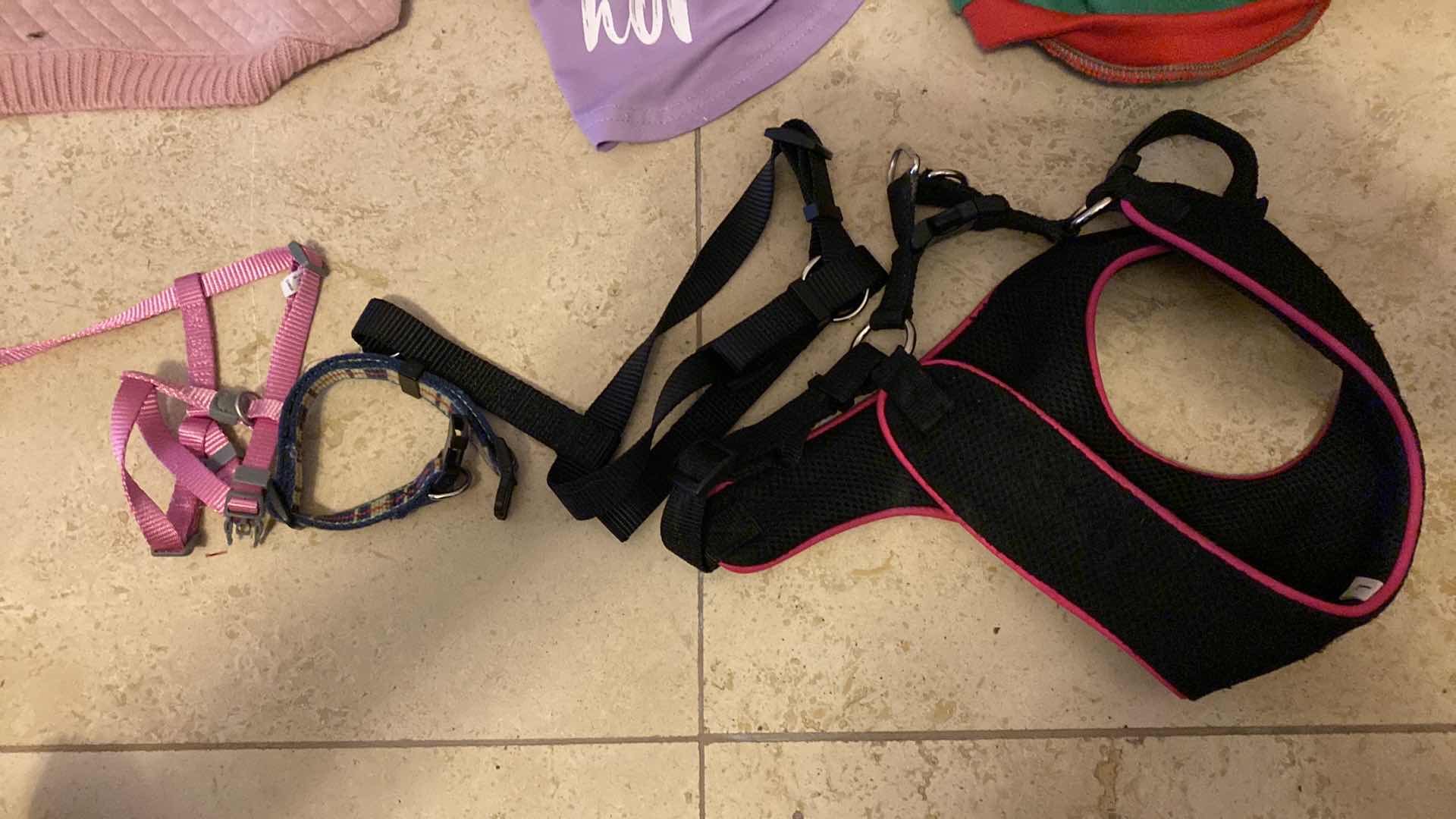 Photo 1 of DOG JACKETS SMALL AND MEDIUM, HARNESS, COLLARS AND TOYS