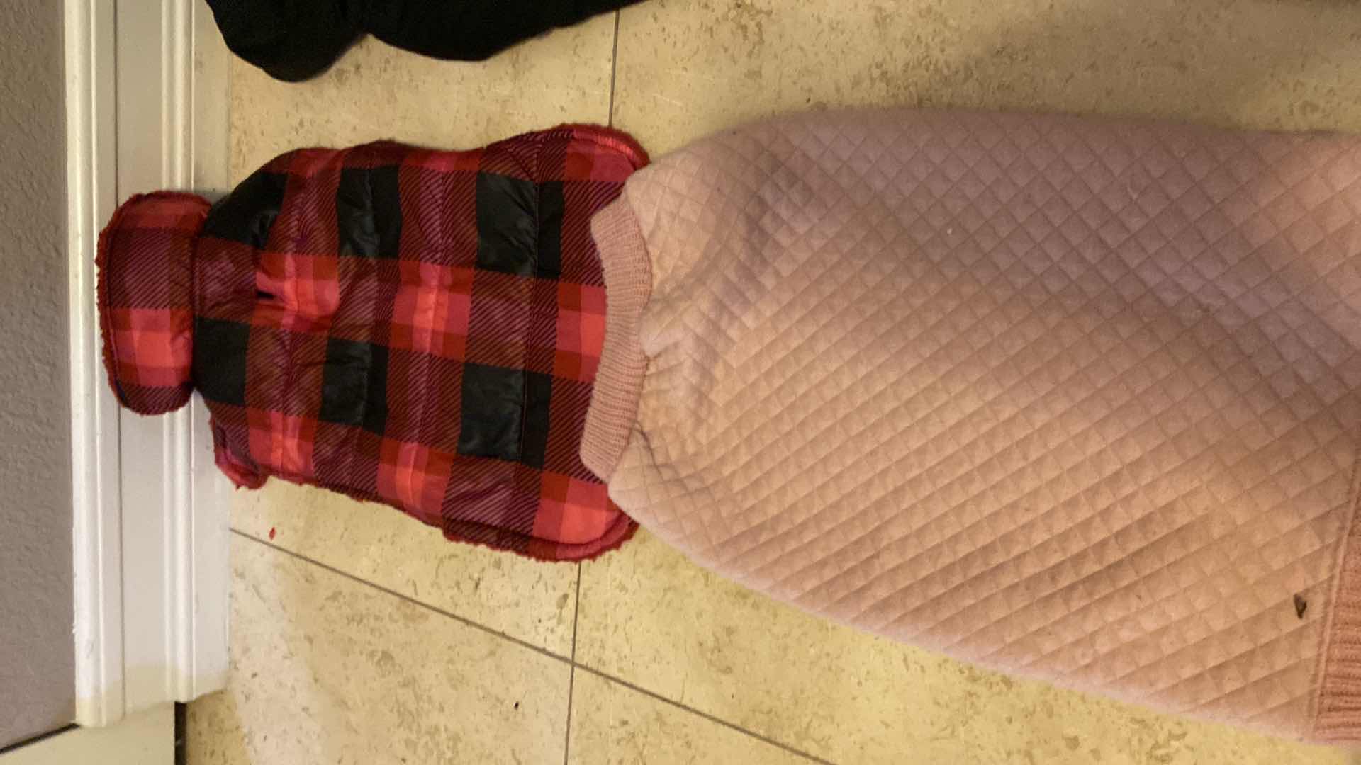 Photo 1 of DOG JACKETS SMALL AND MEDIUM, HARNESS, COLLARS AND TOYS