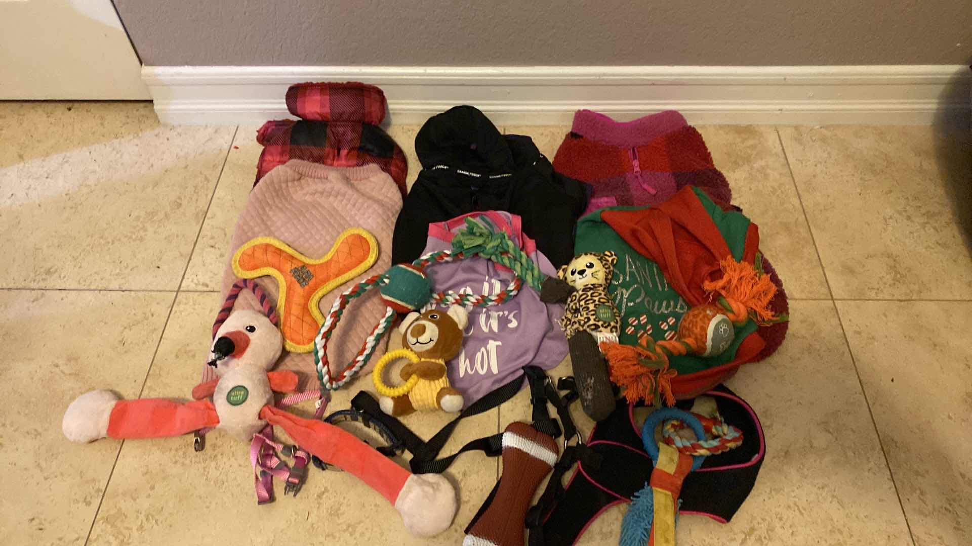 Photo 1 of DOG JACKETS SMALL AND MEDIUM, HARNESS, COLLARS AND TOYS