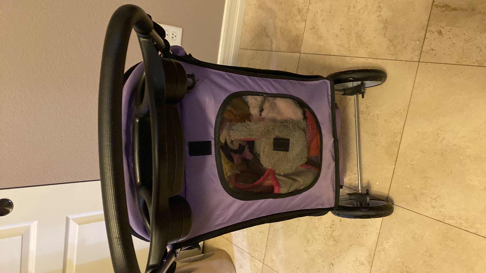 Photo 1 of DOG BUGGY WITH TOYS