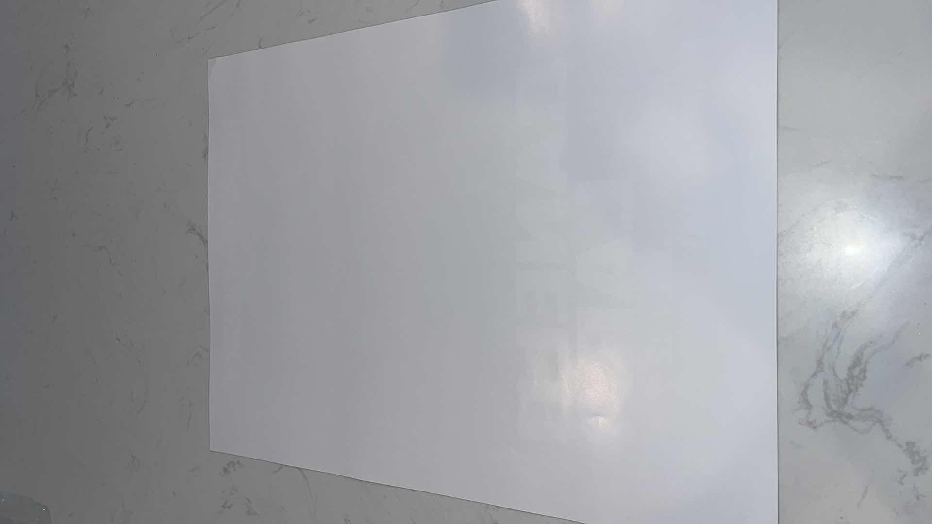 Photo 1 of CANELO VS LARA FIGHT POSTER W 18IN H 2FT