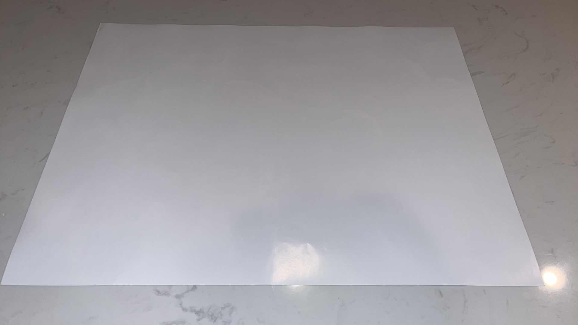 Photo 1 of CANELO VS COTTO FIGHT POSTER W 18IN H 2FT