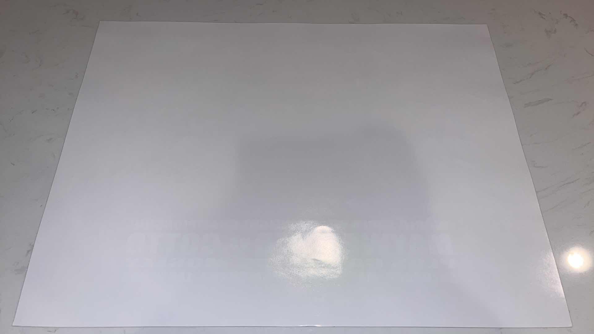 Photo 1 of MAYWEATHER VS COTTO OFFICIAL FIGHT POSTER W 18In H 2 FT