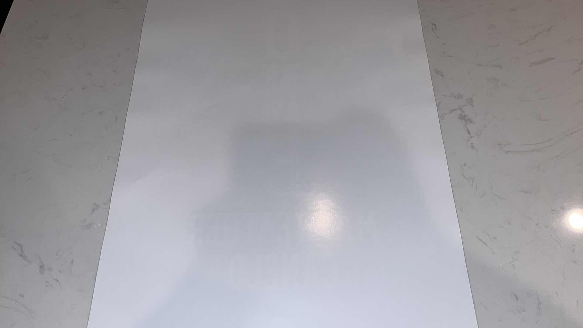 Photo 1 of MAYWEATHER VS CANELO THE ONE FIGHT POSTER W 18IN H 2FT