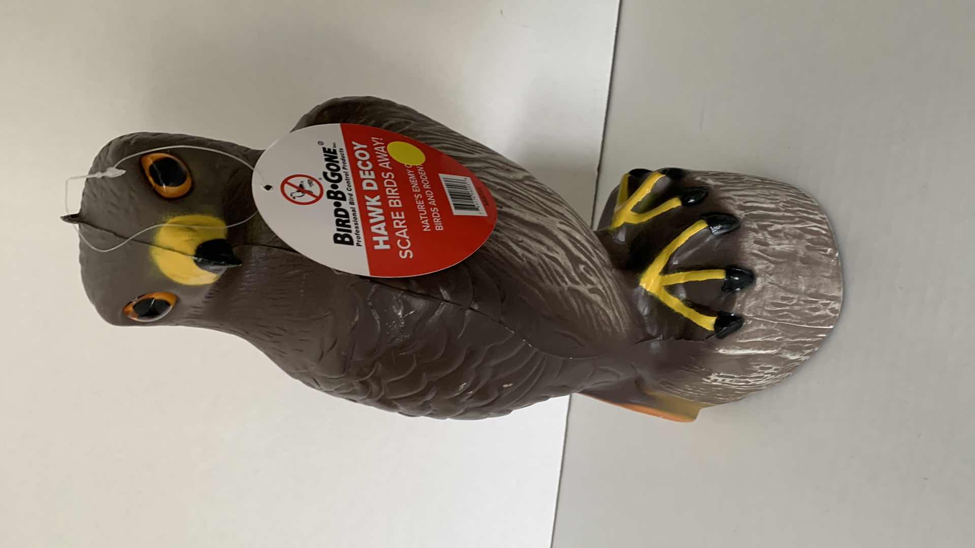 Photo 1 of BIRD B GONE HAWK DECOY