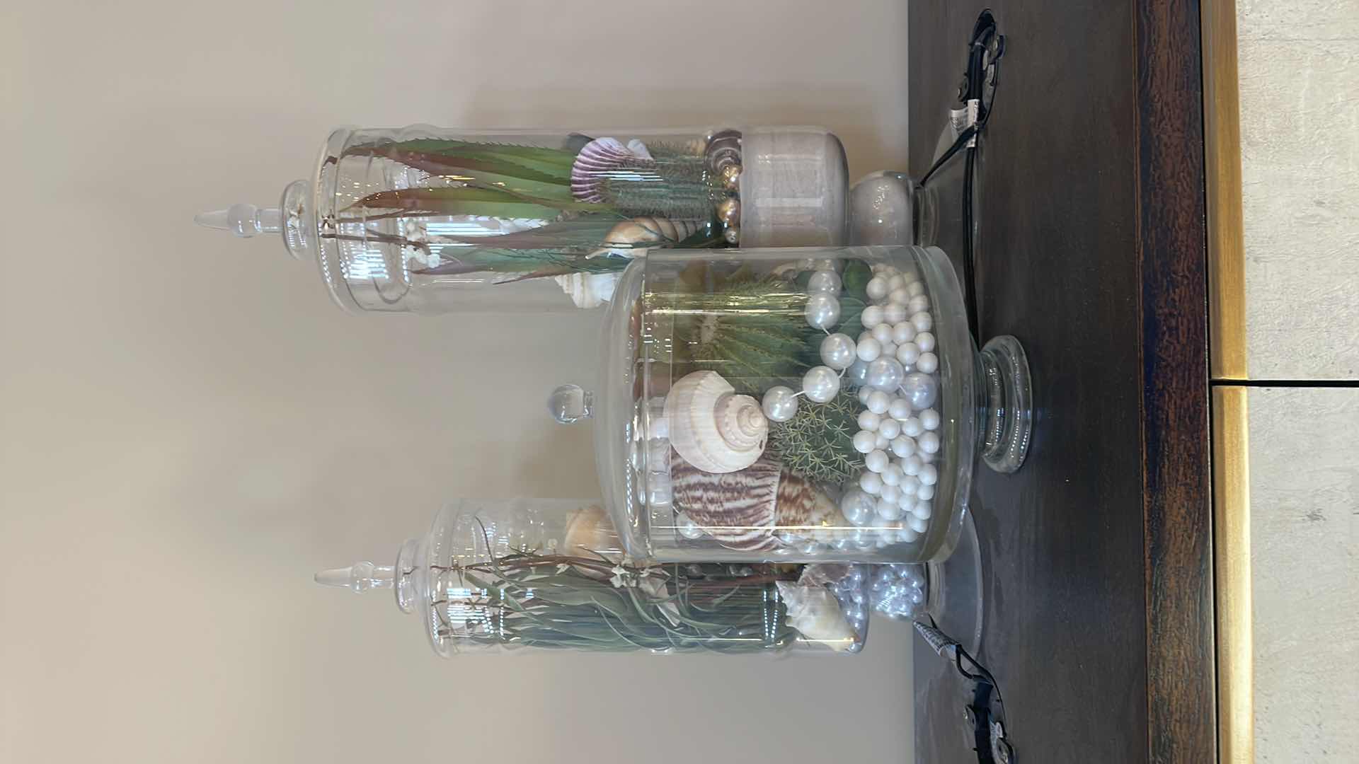 Photo 1 of CACTI AND SEASHELL HOME DECORATIONS H12”, H20”, H25”