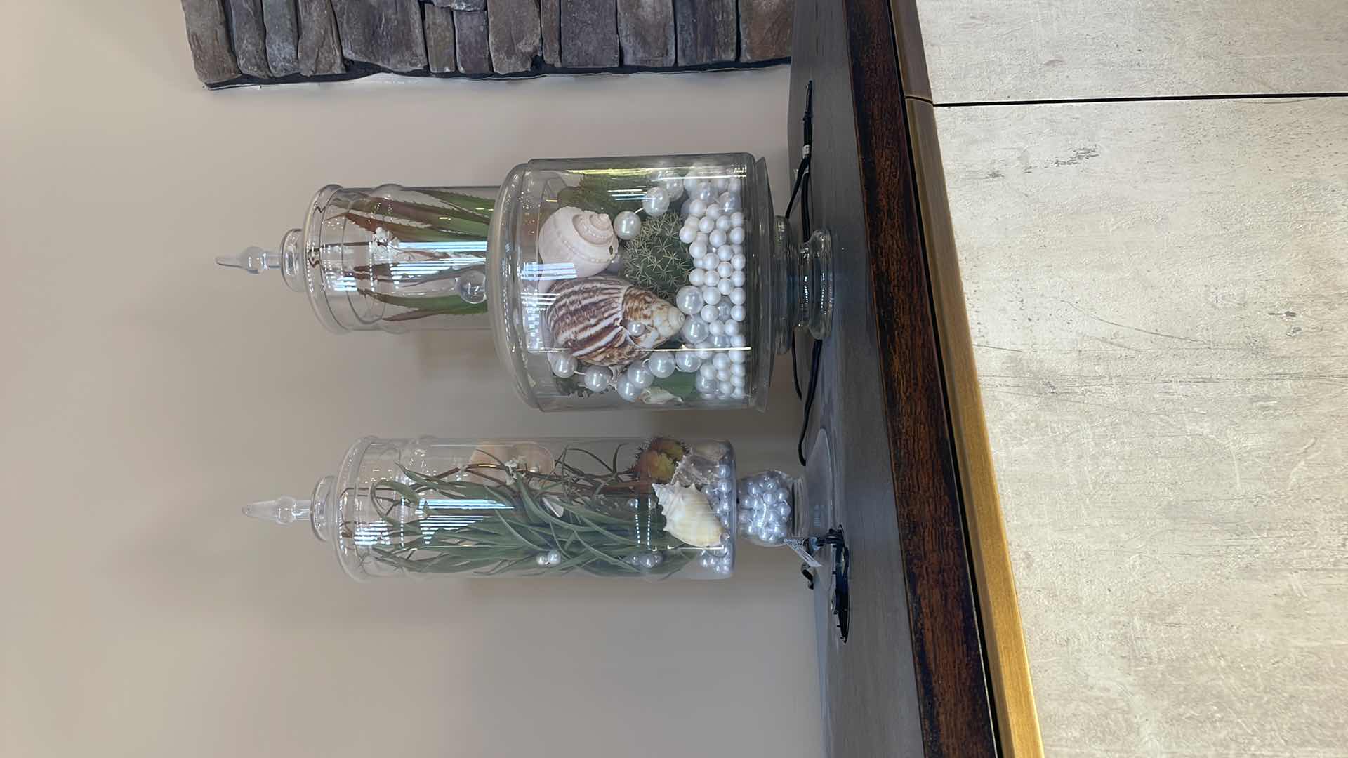 Photo 1 of CACTI AND SEASHELL HOME DECORATIONS H12”, H20”, H25”