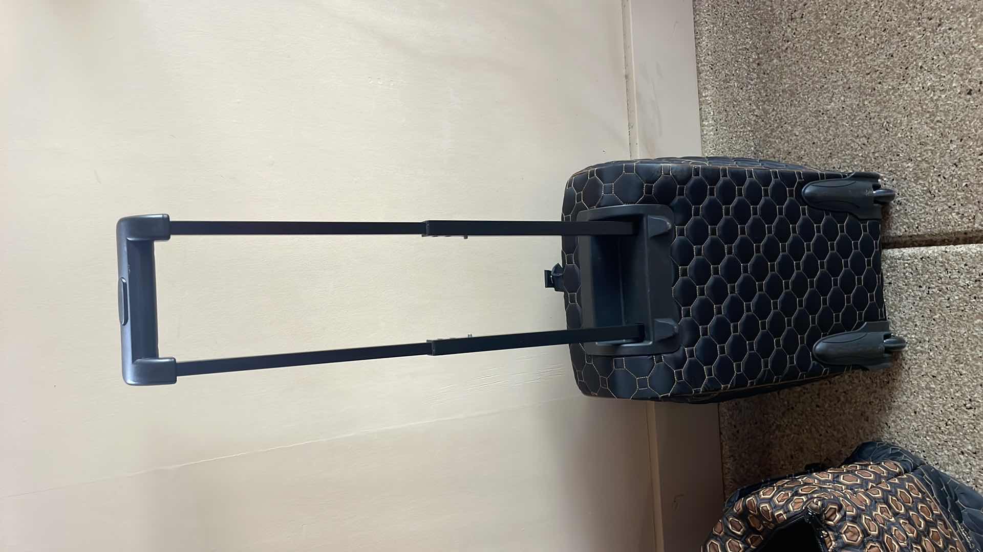 Photo 5 of CINDA B ROLLER BAG CARRY ON AND TOTE