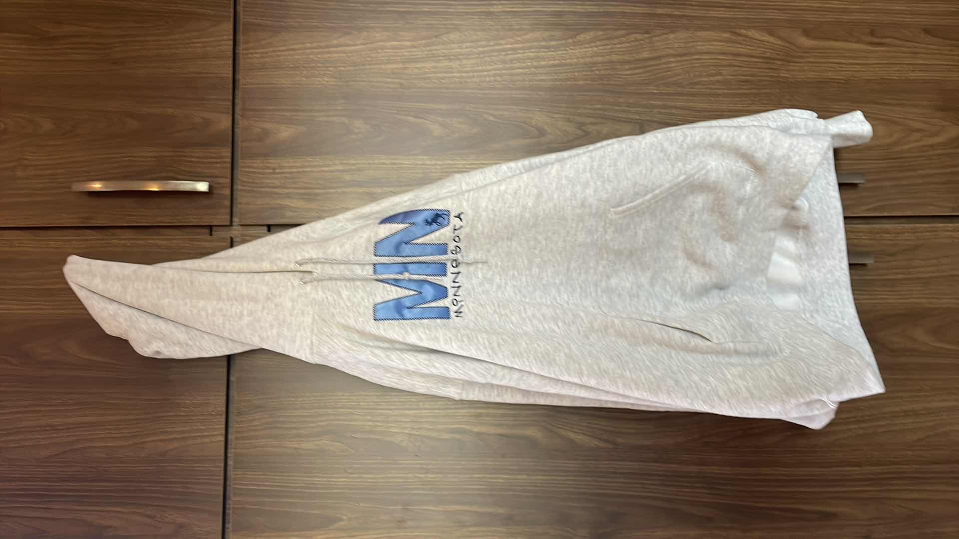 Photo 1 of MINNESOTA HOODIE SIZE LARGE
