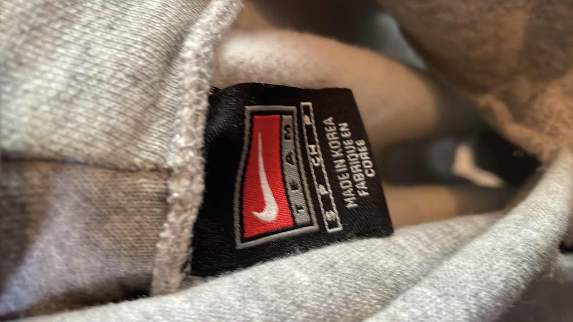 Photo 1 of NIKE MICHIGAN HOODIE SMALL