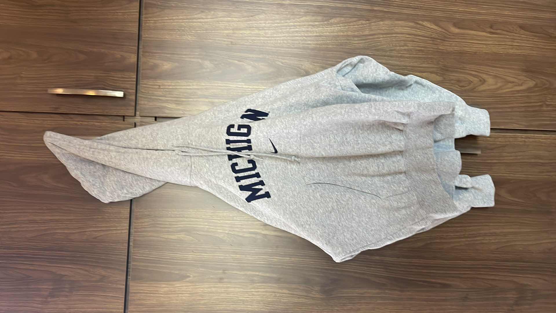 Photo 1 of NIKE MICHIGAN HOODIE SMALL
