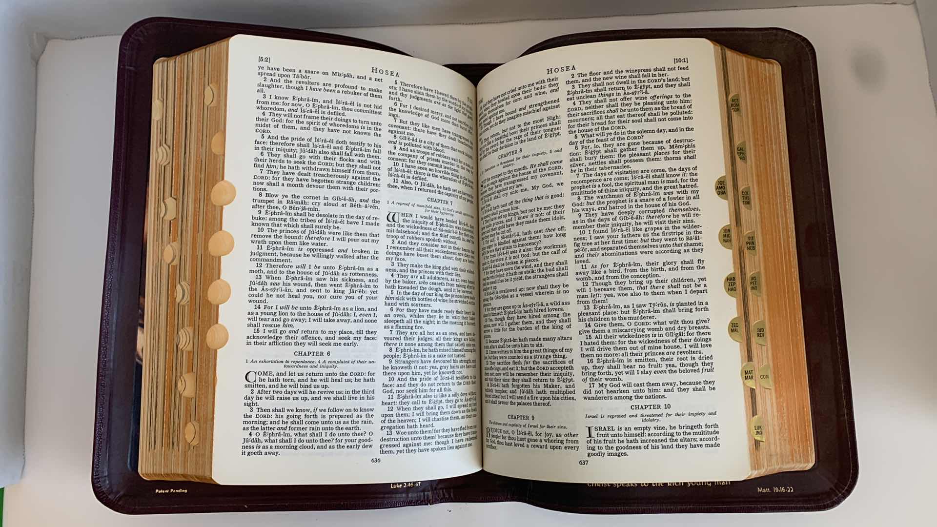 Photo 1 of HOLY BIBLE GOOD SAVIOR EDITION