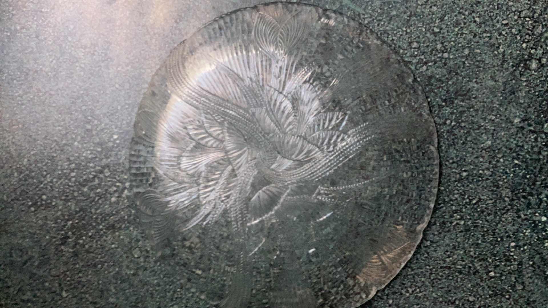 Photo 2 of ARCOROC CANTERBURY CROCUS FLOWER GLASS 36 PIECE DINNER WARE