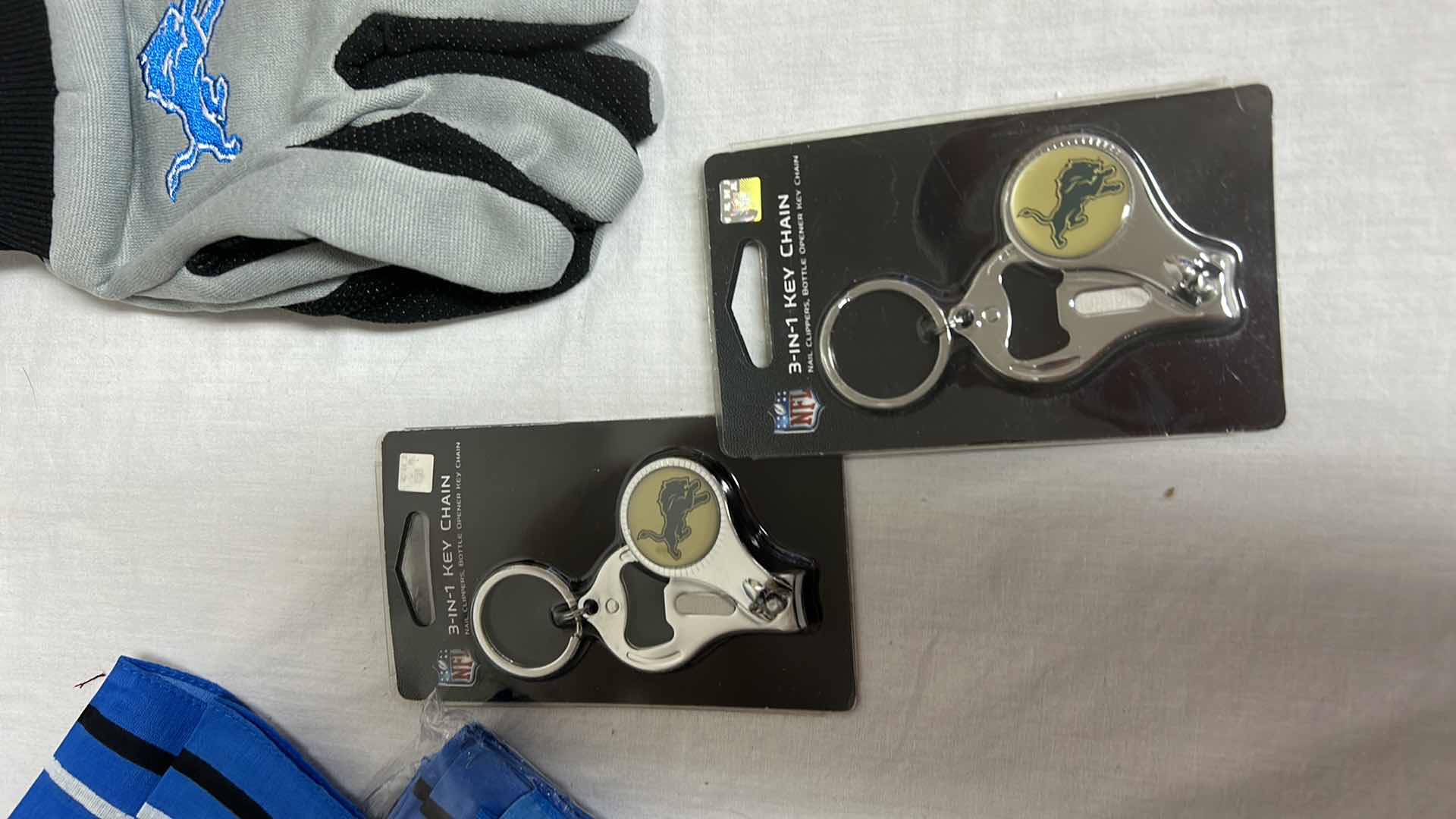 Photo 1 of NFL FAN GEAR LIONS