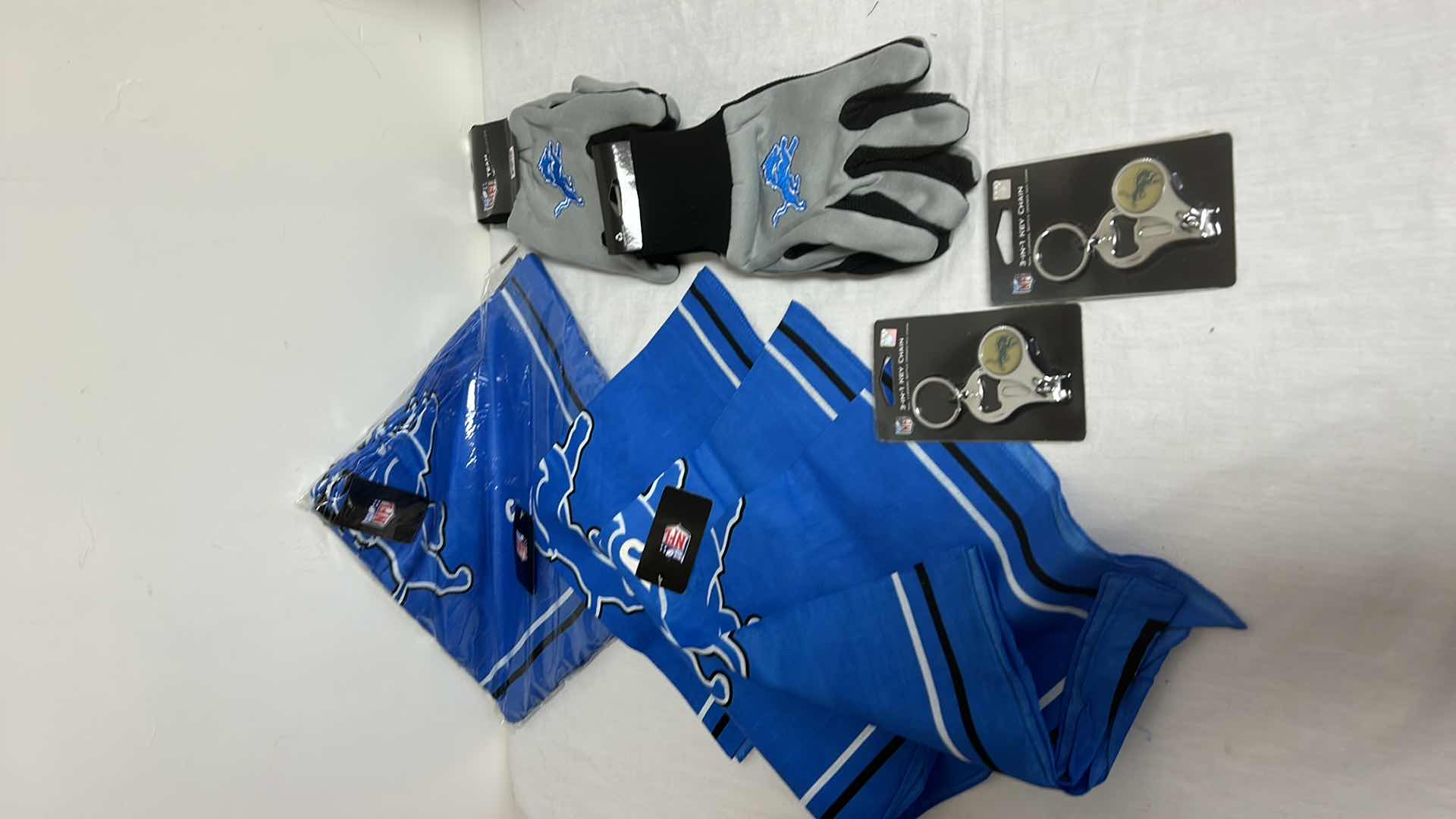 Photo 1 of NFL FAN GEAR LIONS