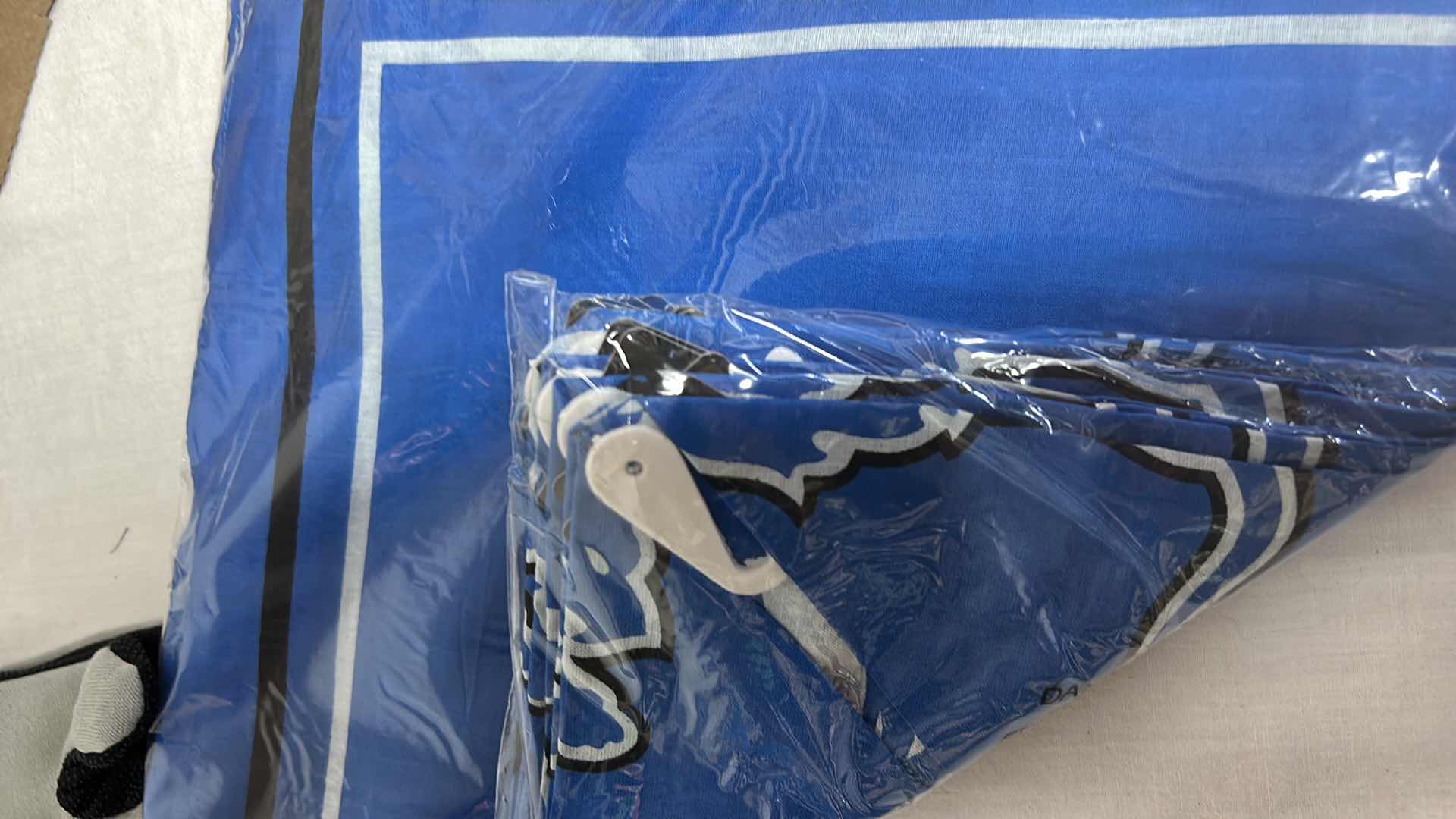 Photo 1 of NFL FAN GEAR LIONS