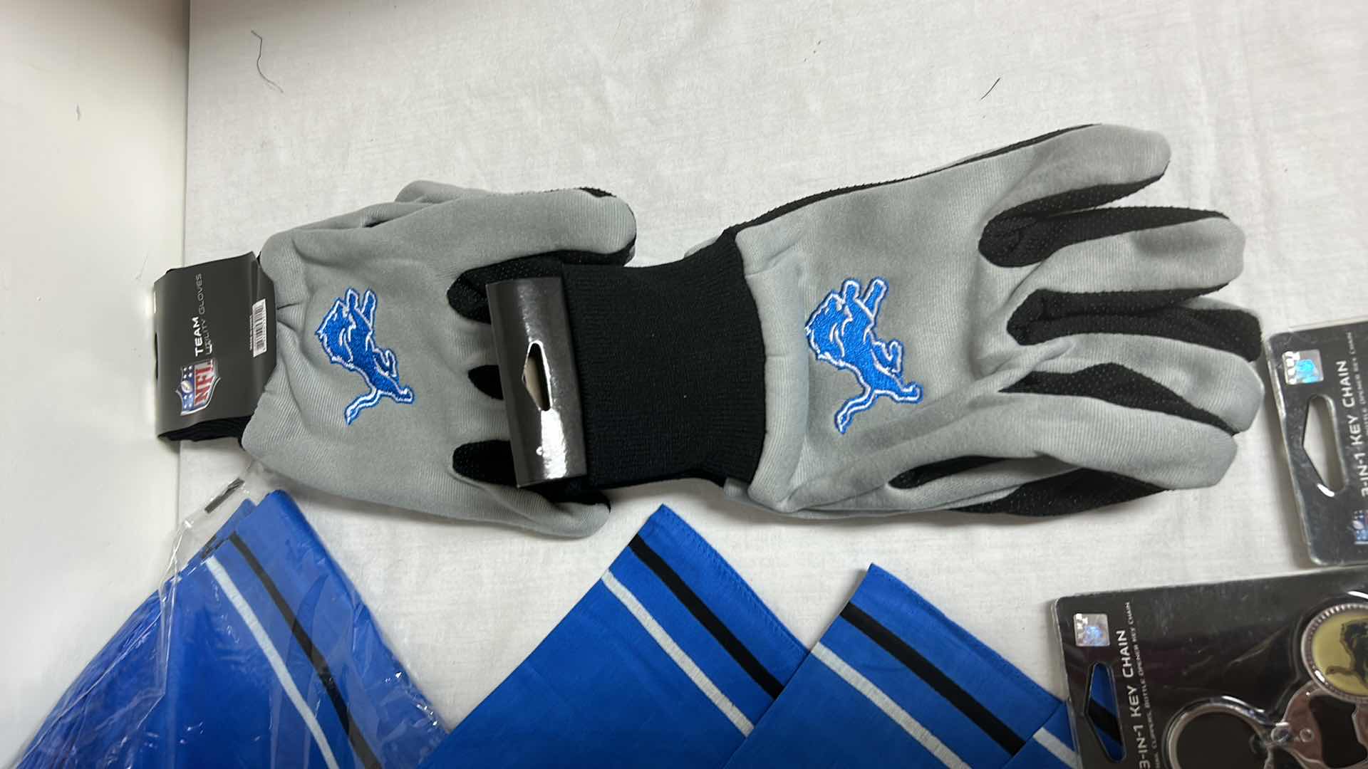 Photo 1 of NFL FAN GEAR LIONS