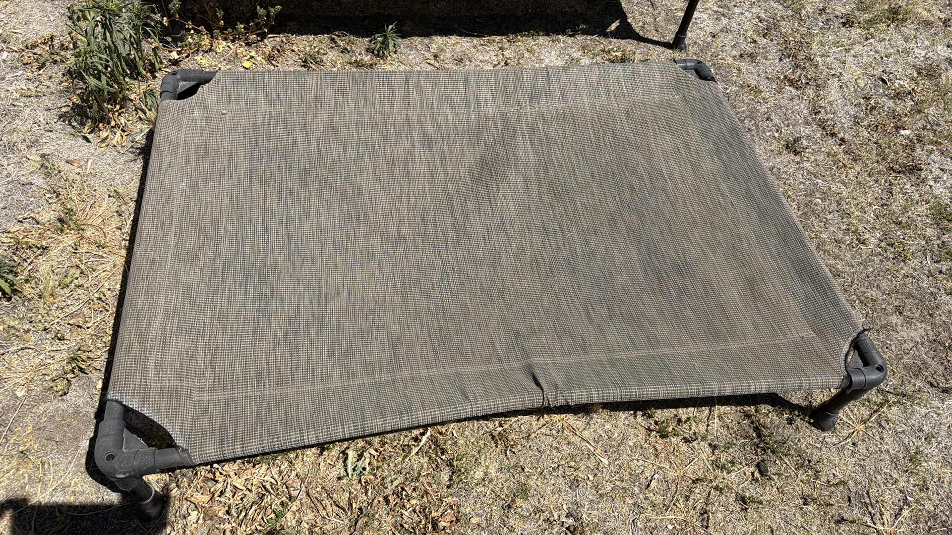 Photo 1 of 2- DOG LOUNGERS - 1 LARGE 1 MEDIUM