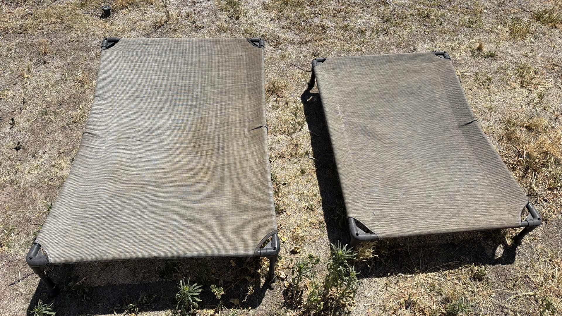 Photo 1 of 2- DOG LOUNGERS - 1 LARGE 1 MEDIUM