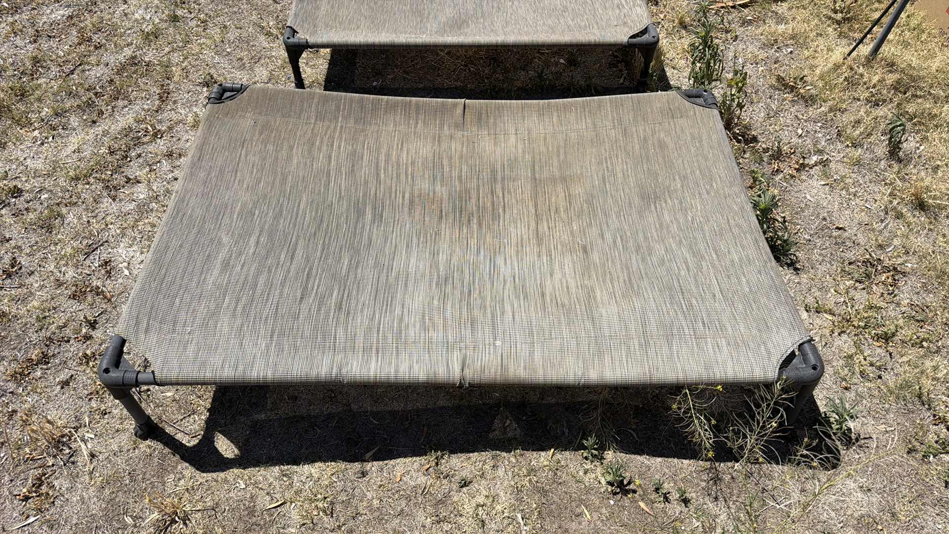 Photo 1 of 2- DOG LOUNGERS - 1 LARGE 1 MEDIUM