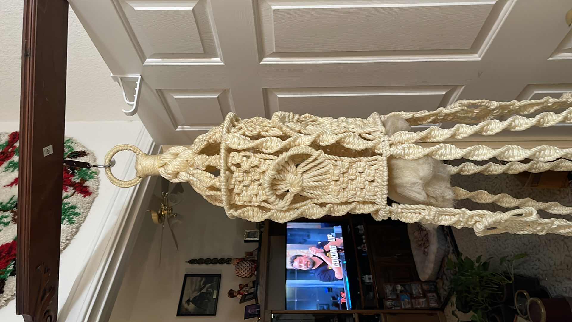 Photo 1 of HANGING MACRAME PLANT HOLDER