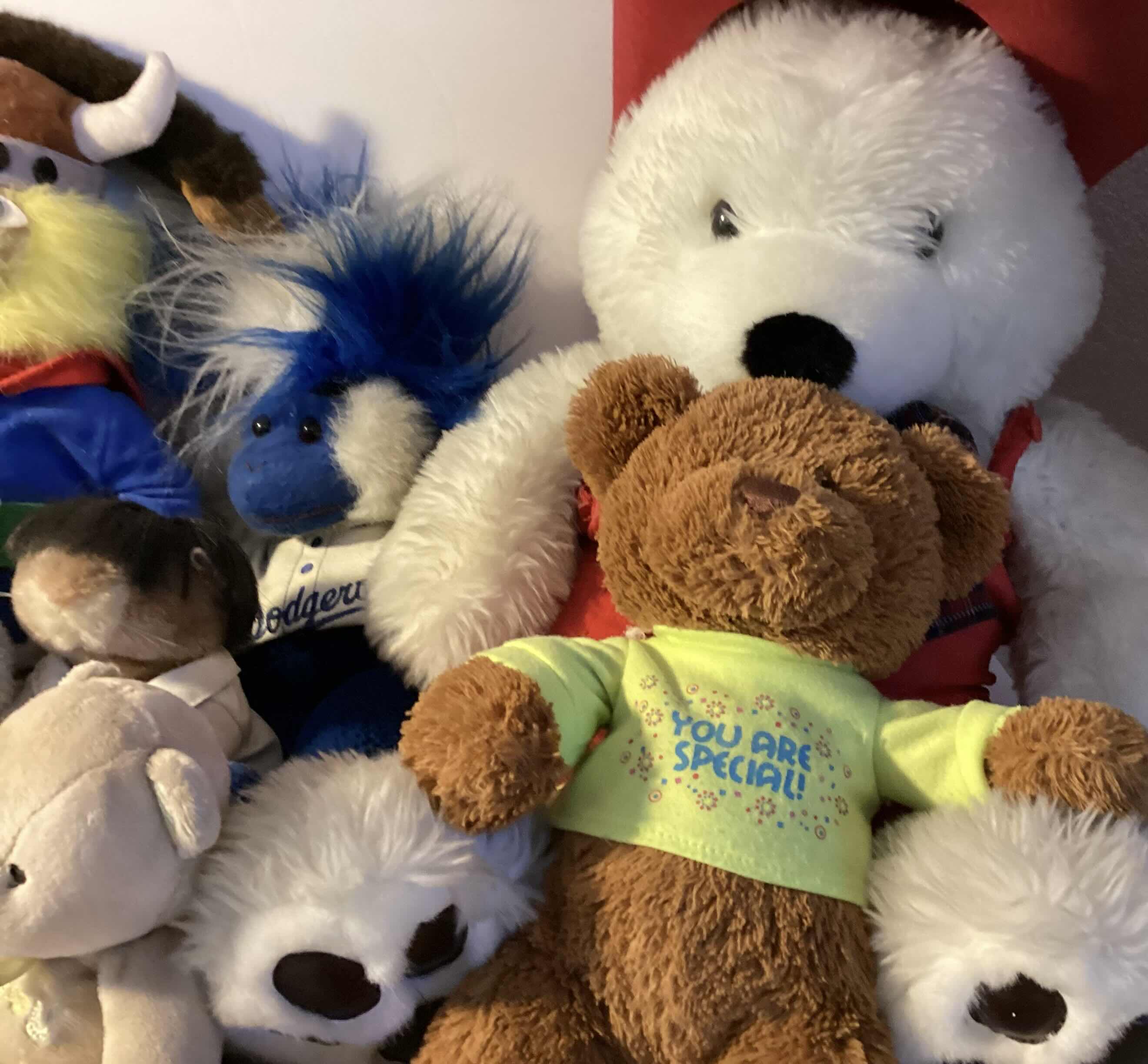 Photo 1 of FUZZY CUDDLE BUDDIES