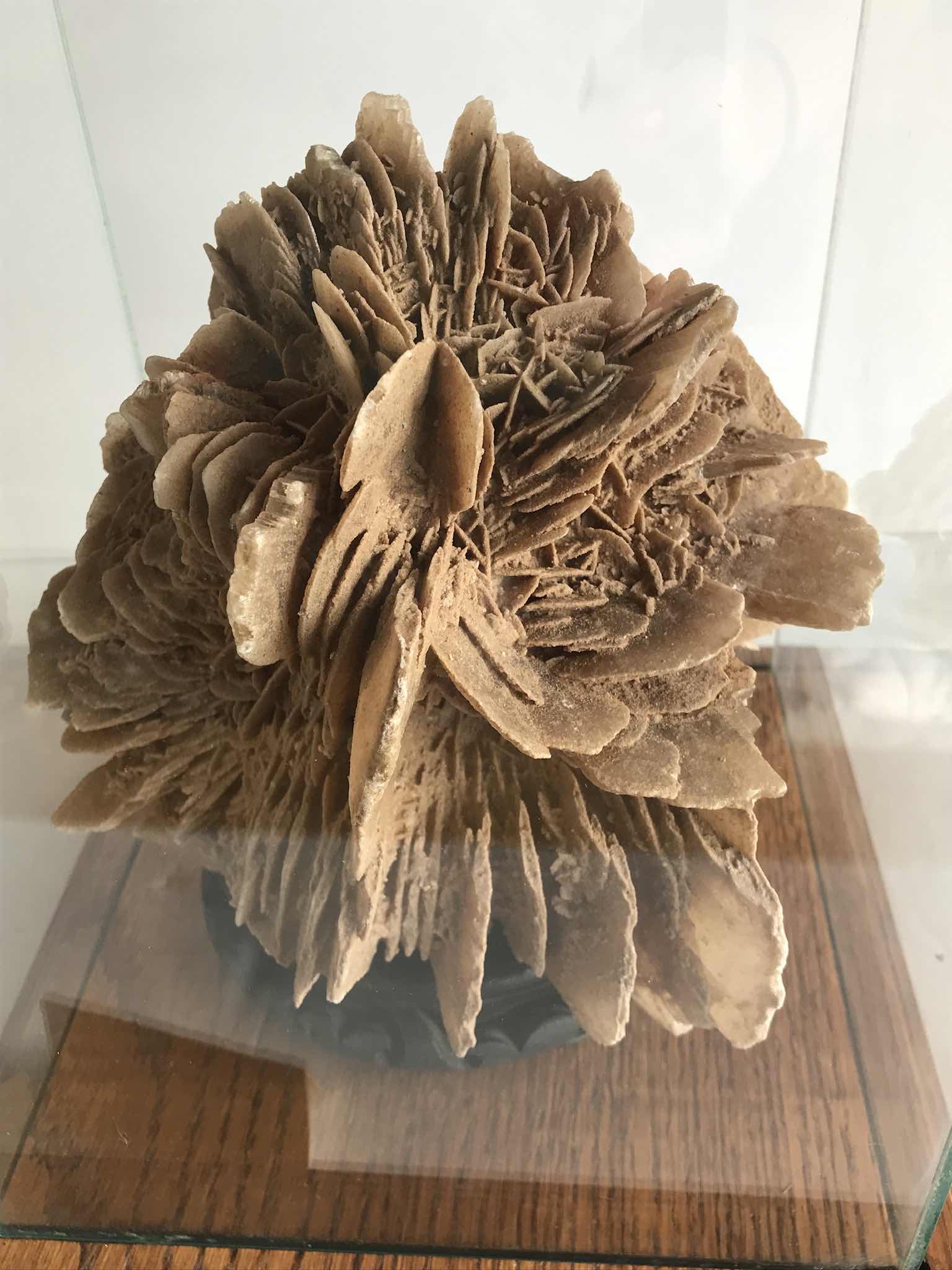 Photo 1 of DESERT ROSE CALCITE - THIS WAS PURCHASED AT THE “LONNIE HAMMARGREN “ESTATE !!!