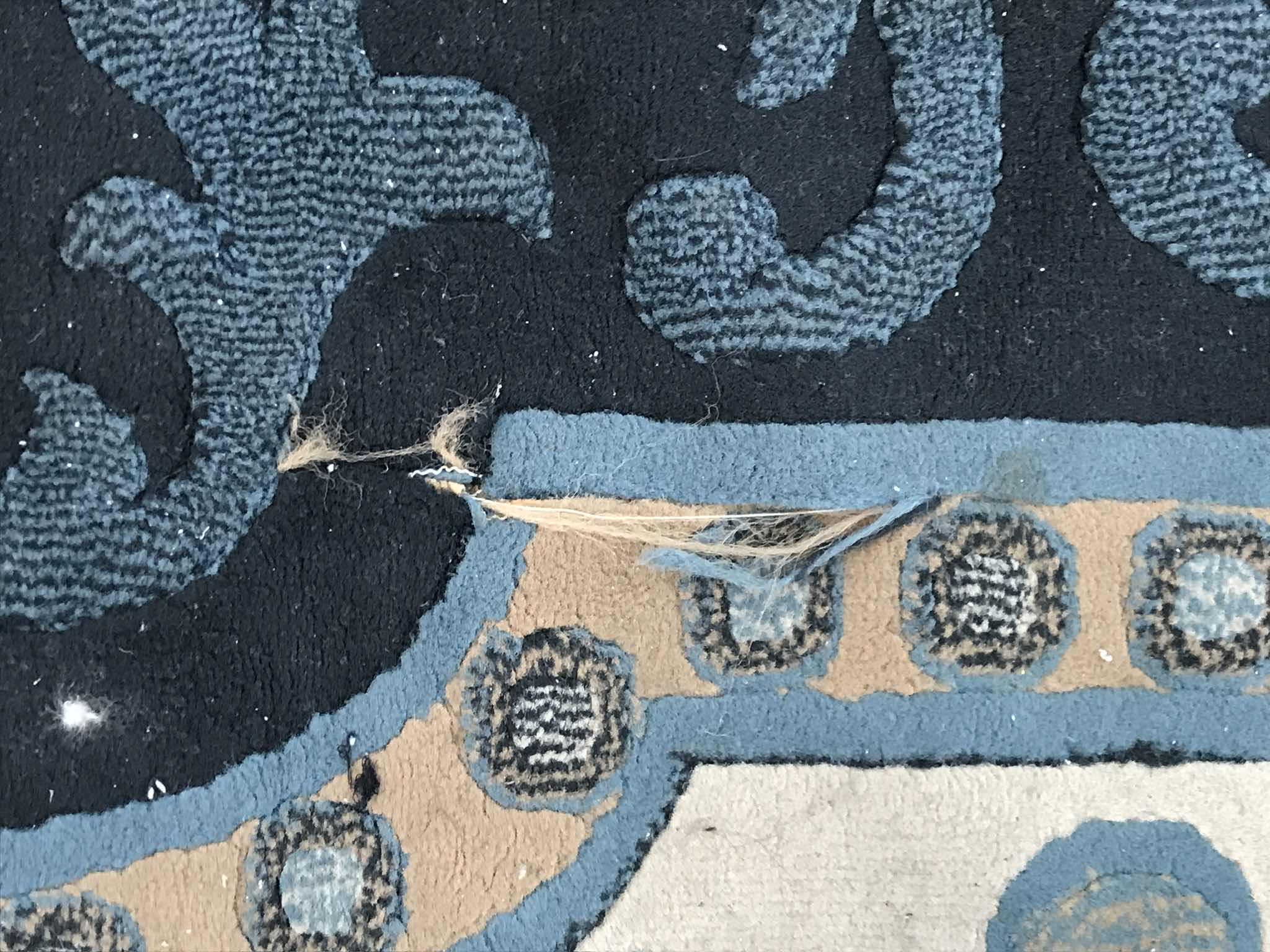 Photo 1 of KINGDOM TRADITIONAL AREA RUG 10’ x 7’