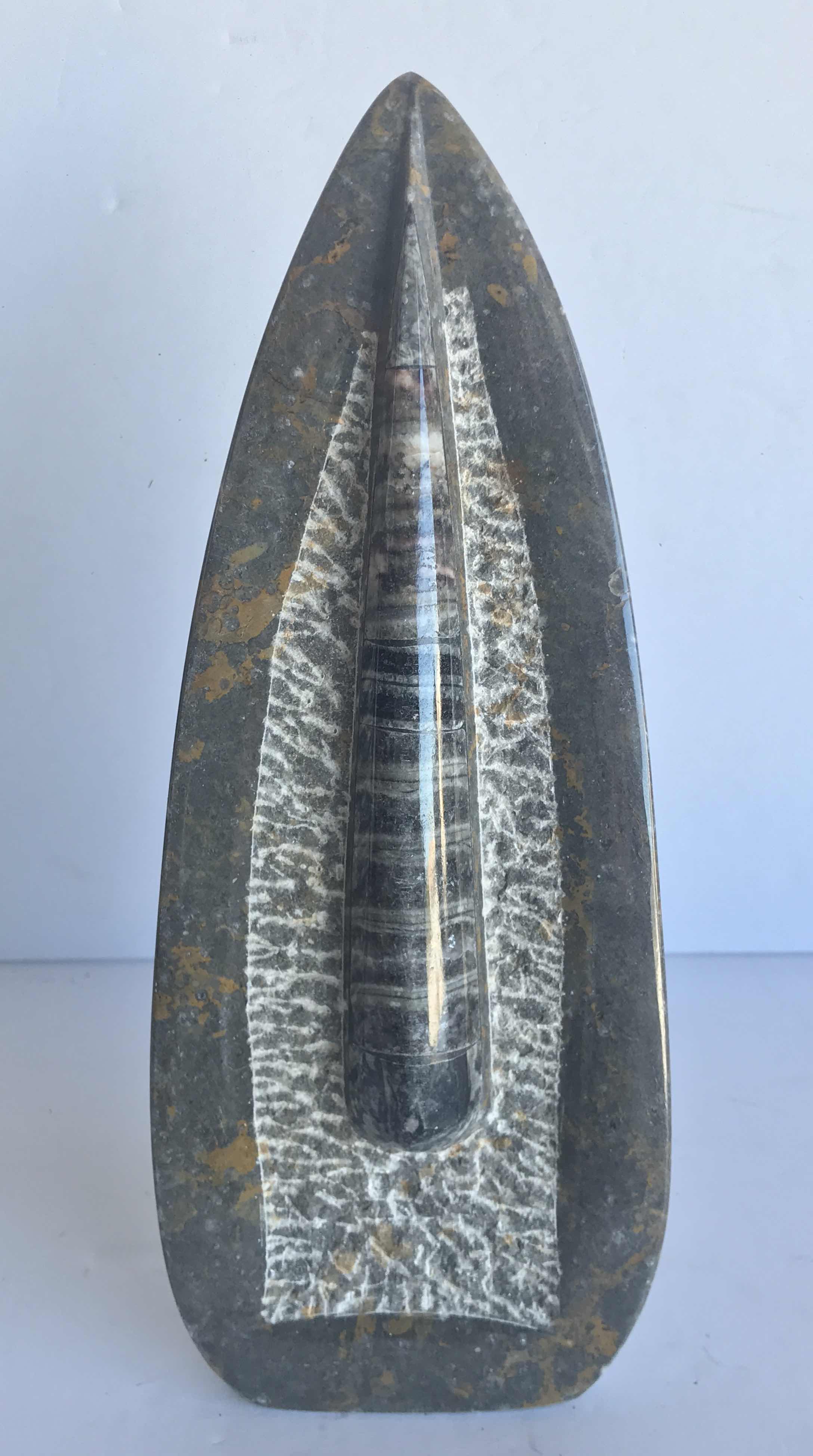 Photo 1 of SINGLE ORTHOCERAS FOSSIL SCULPTURE H 11”