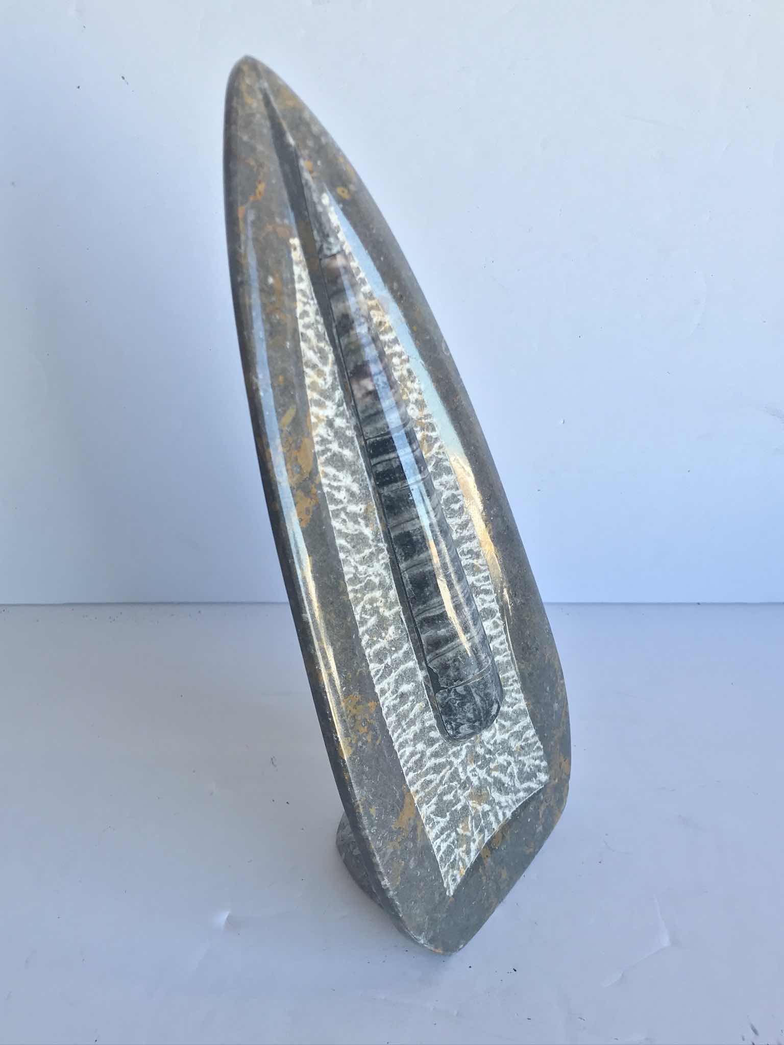 Photo 1 of SINGLE ORTHOCERAS FOSSIL SCULPTURE H 11”