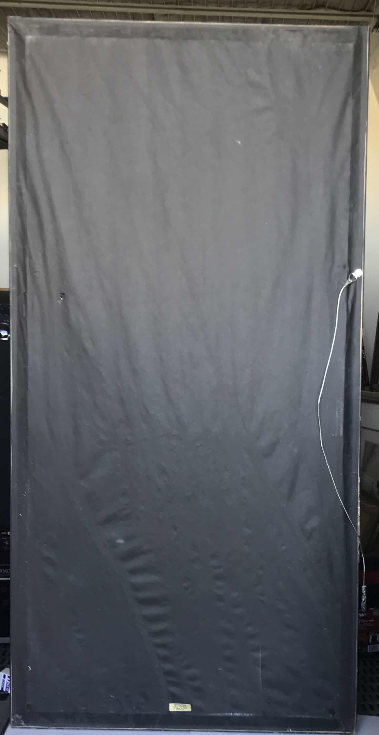 Photo 1 of LIFE SIZE CARDBOARD PICTURE OF DANICA PATRICK SIGNED AND FRAMED WITH PROMO CARD 36”x 72”