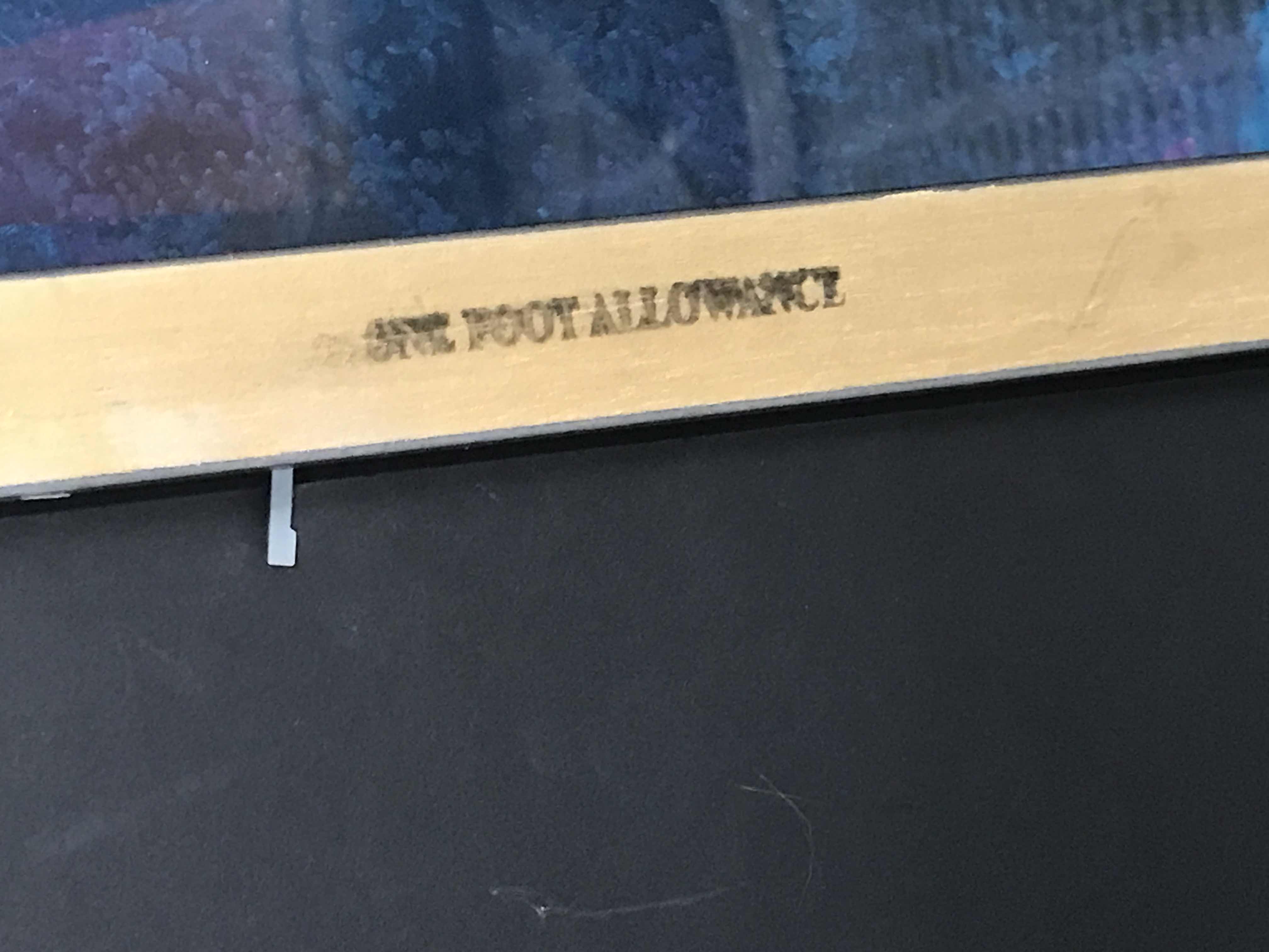 Photo 1 of FRAMED ARTWORK NUMBERED AND SIGNED PICTURE OF OLIVIA DE BERARDINIS 14” x 30”