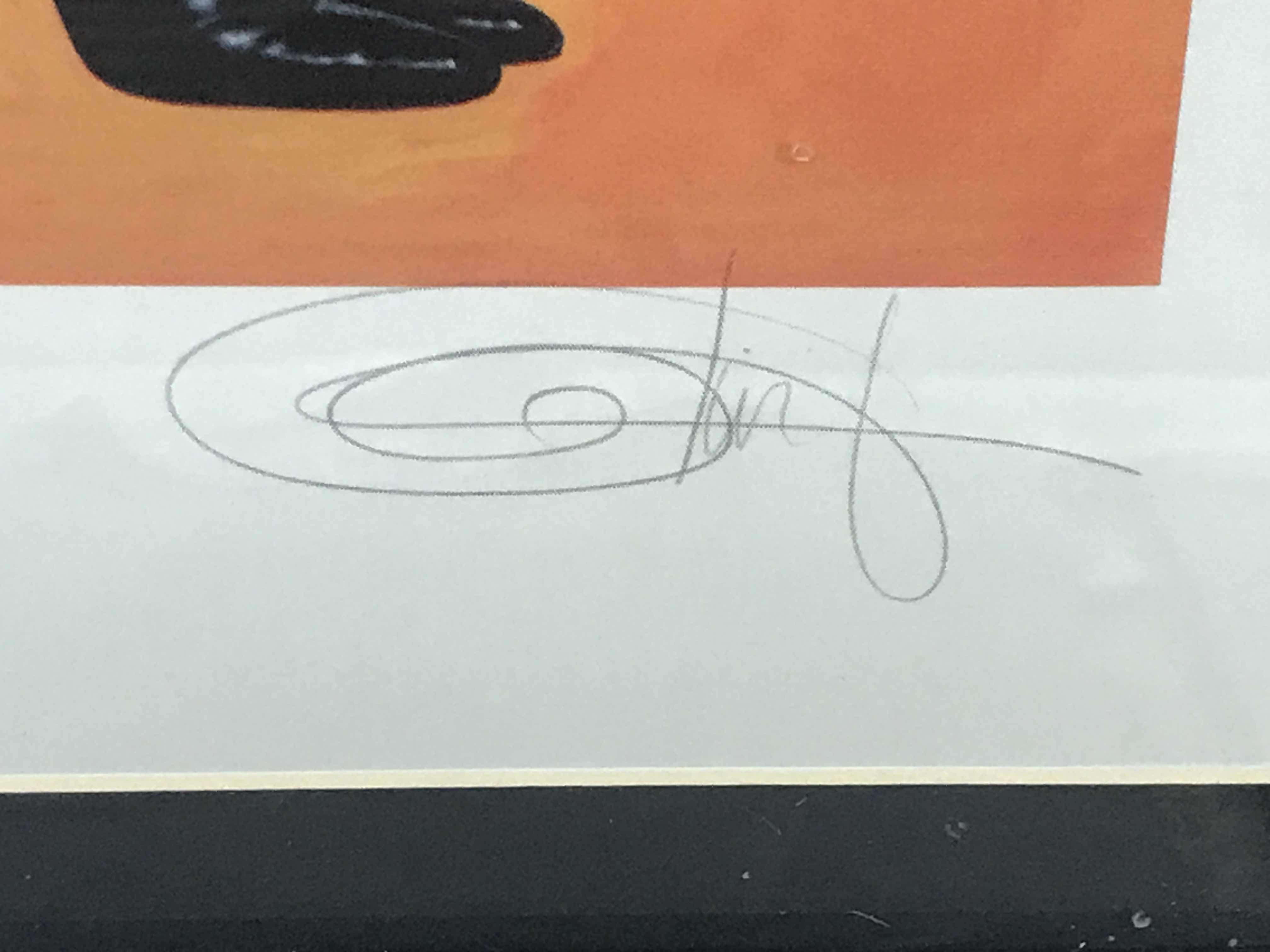 Photo 3 of FRAMED ARTWORK NUMBERED AND SIGNED PICTURE OF OLIVIA DE BERARDINIS 14” x 30”