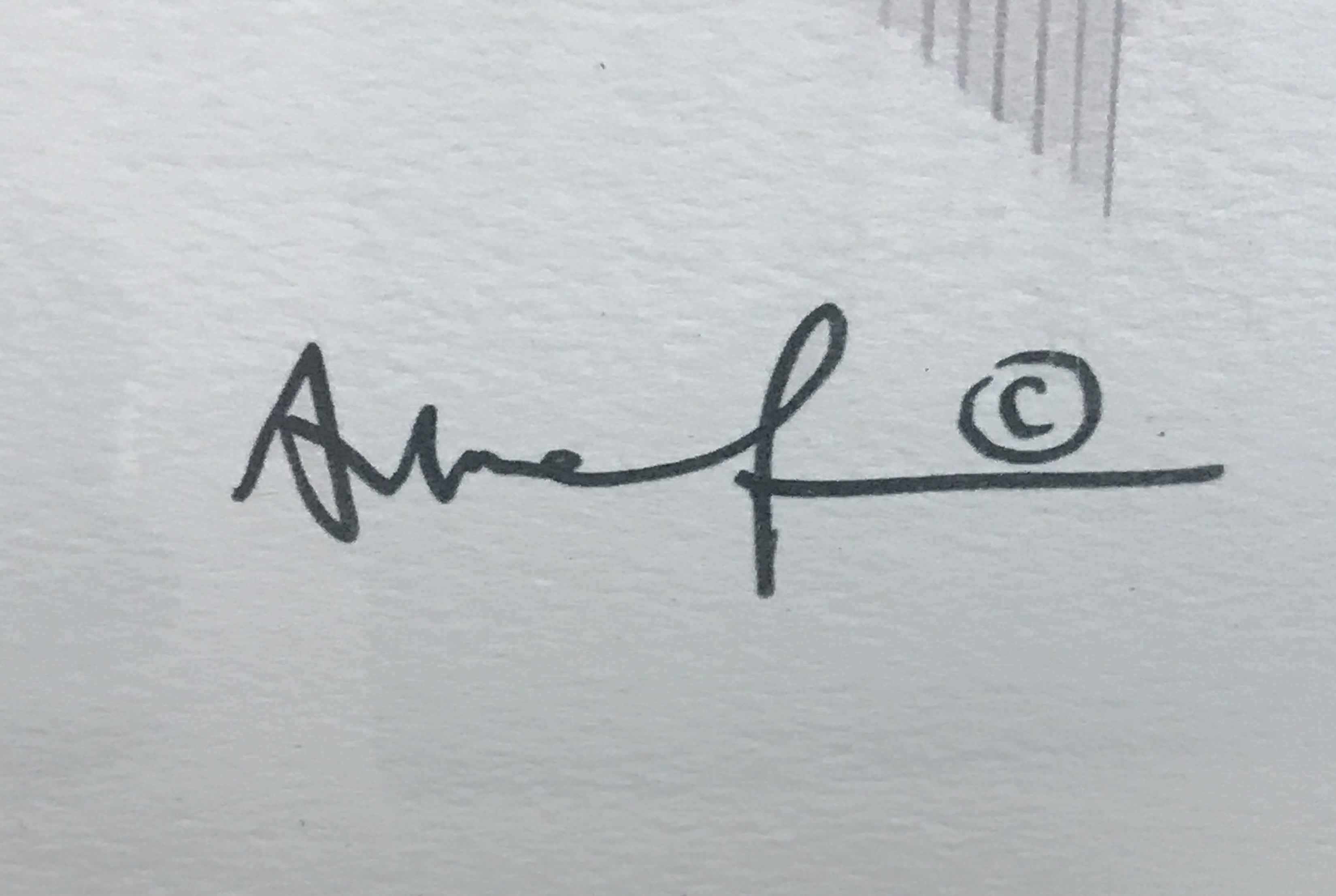 Photo 1 of FRAMED ARTWORK SIGNED BY ARTIST 48” x 38”