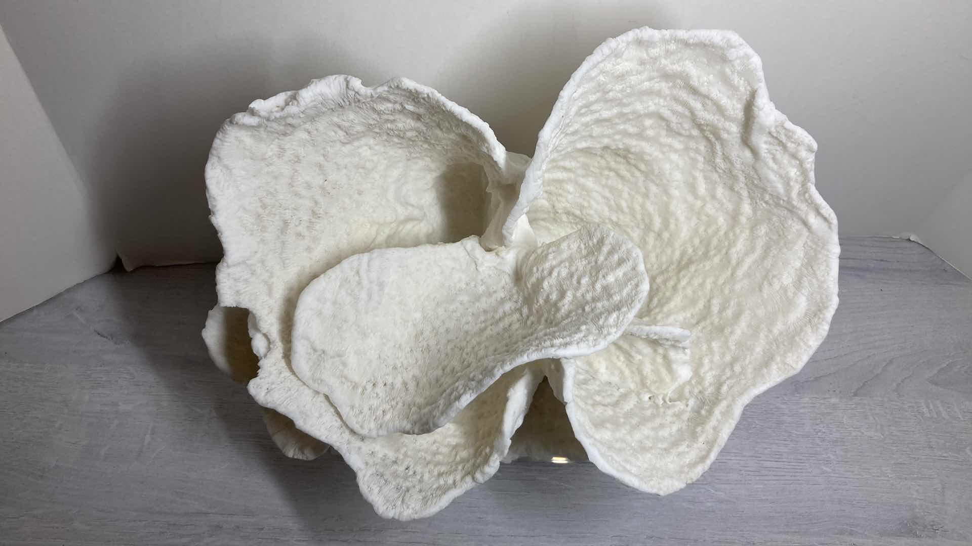 Photo 1 of WILLIAMS SONOMA RESIN CORAL SCULPTURE ACRYLIC BASE ART 12” X 10"