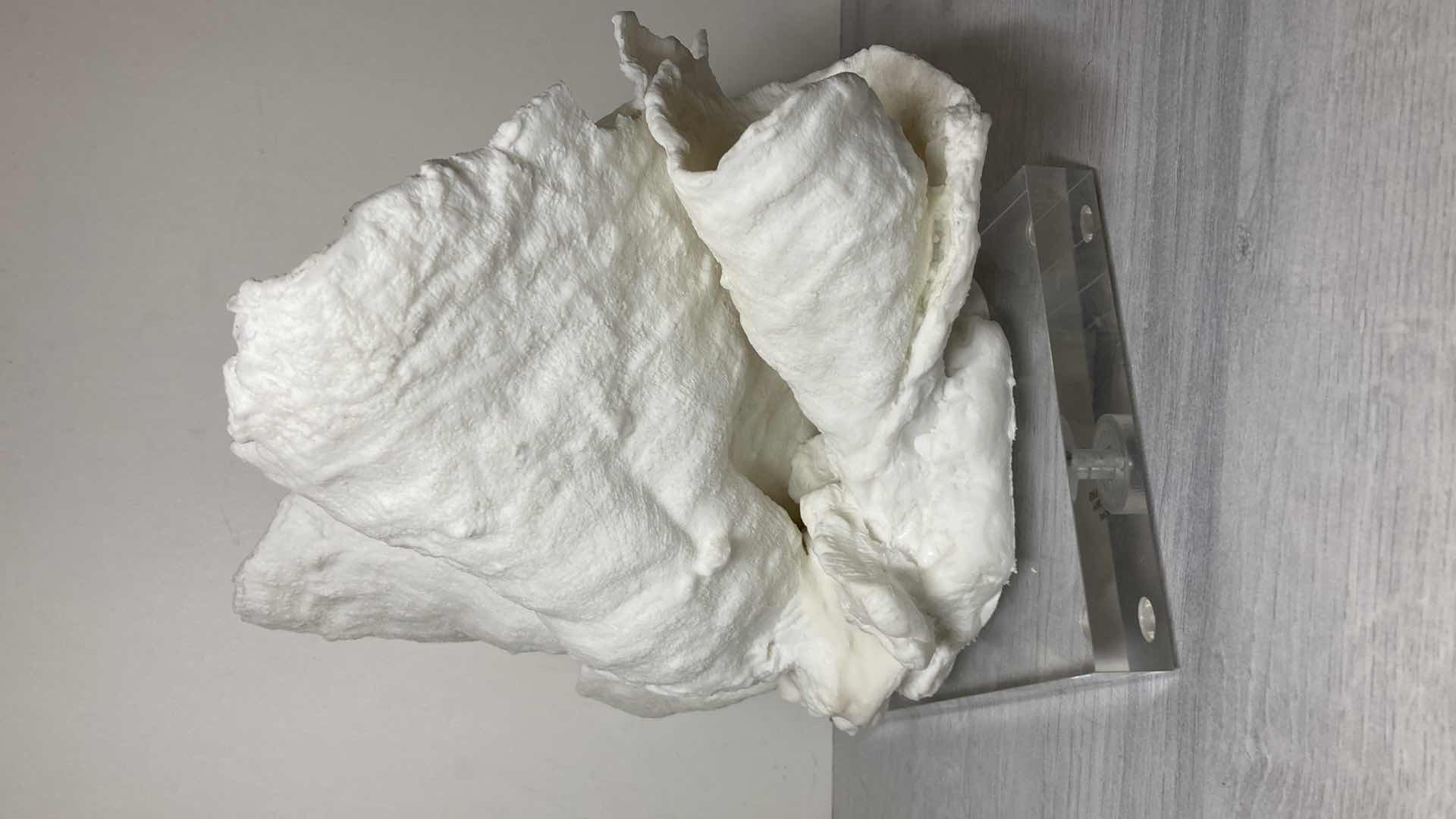 Photo 1 of WILLIAMS SONOMA RESIN CORAL SCULPTURE ACRYLIC BASE ART 12” X 10"