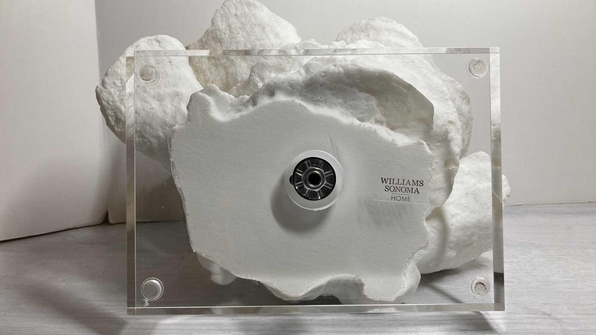 Photo 1 of WILLIAMS SONOMA RESIN CORAL SCULPTURE ACRYLIC BASE ART 12” X 10"