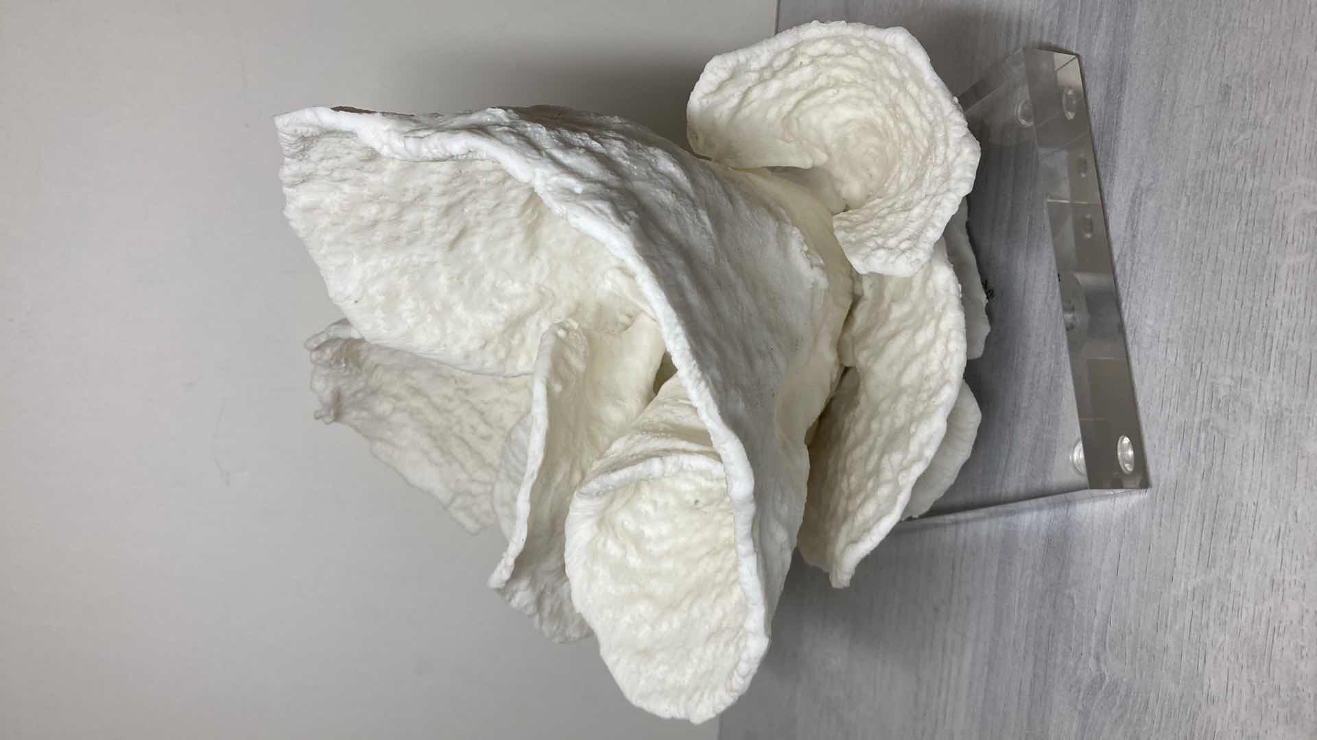 Photo 1 of WILLIAMS SONOMA RESIN CORAL SCULPTURE ACRYLIC BASE ART 12” X 10"