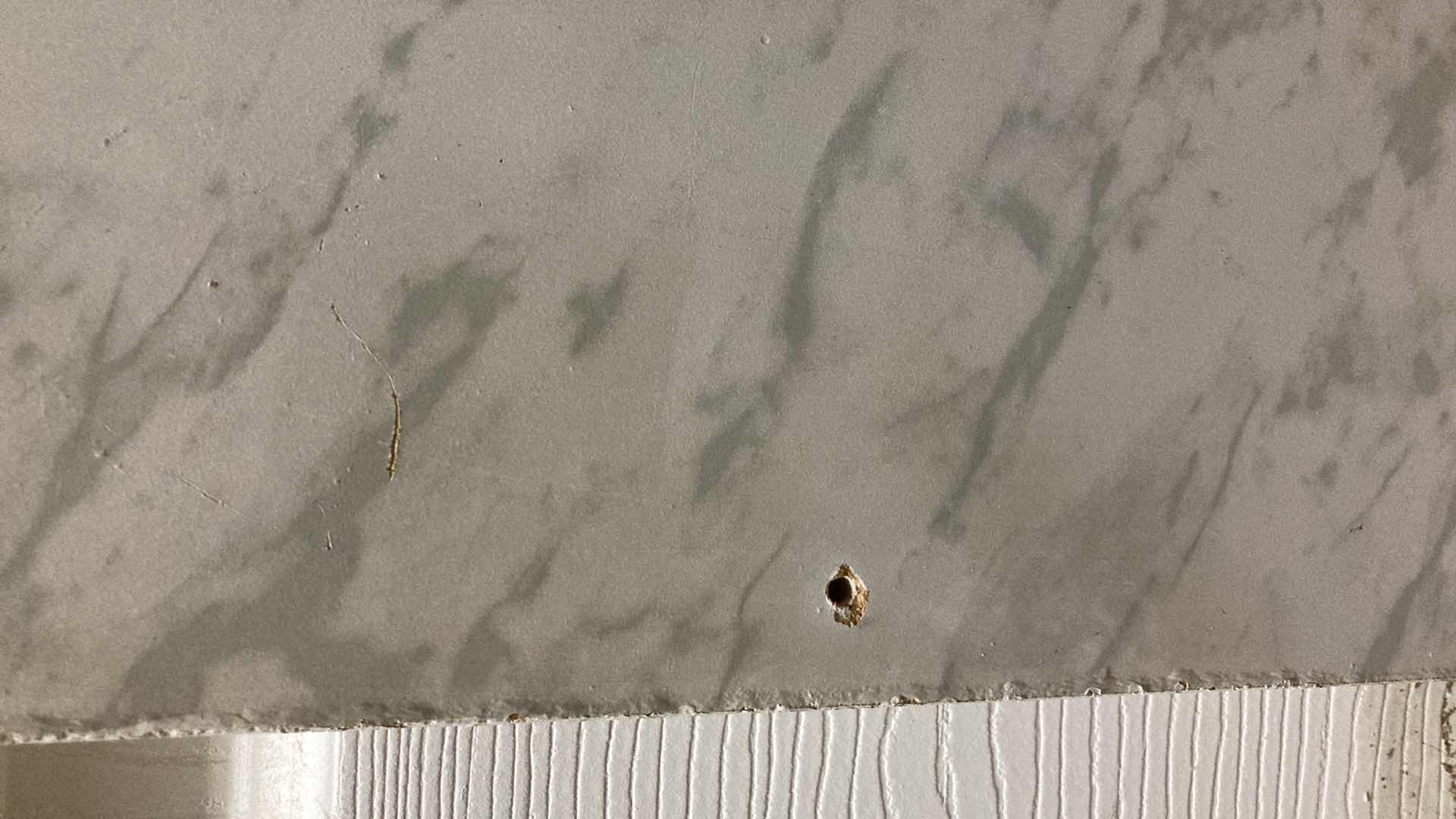 Photo 1 of TIM BROWN RAIDERS #81 PHOTOGRAPH MEMORABILIA PLAQUE AUTOGRAPHED BY TIM BROWN NO COA 15” X 12”