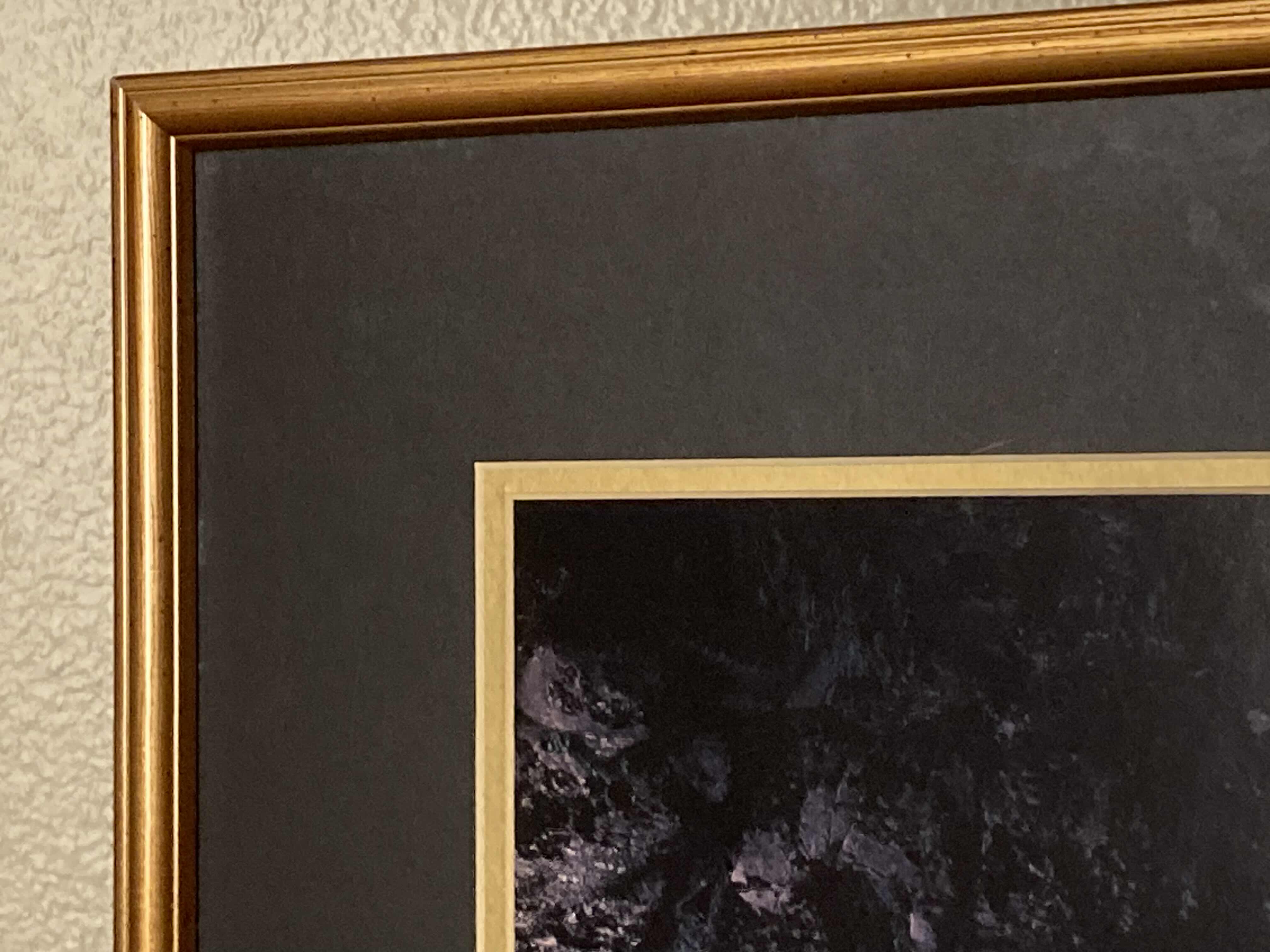 Photo 1 of VINTAGE RAINFOREST WATERFALL FRAMED PHOTO POSTER 35” X 29”