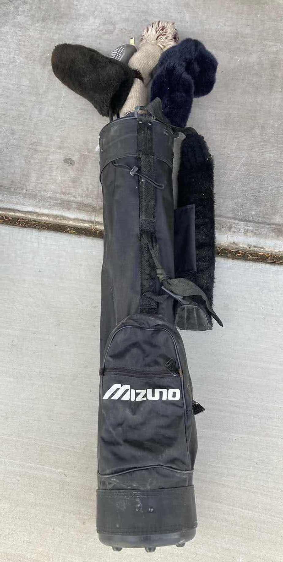 Photo 1 of GOLF DOLLIES (2) & GOLF CLUBS W BAG